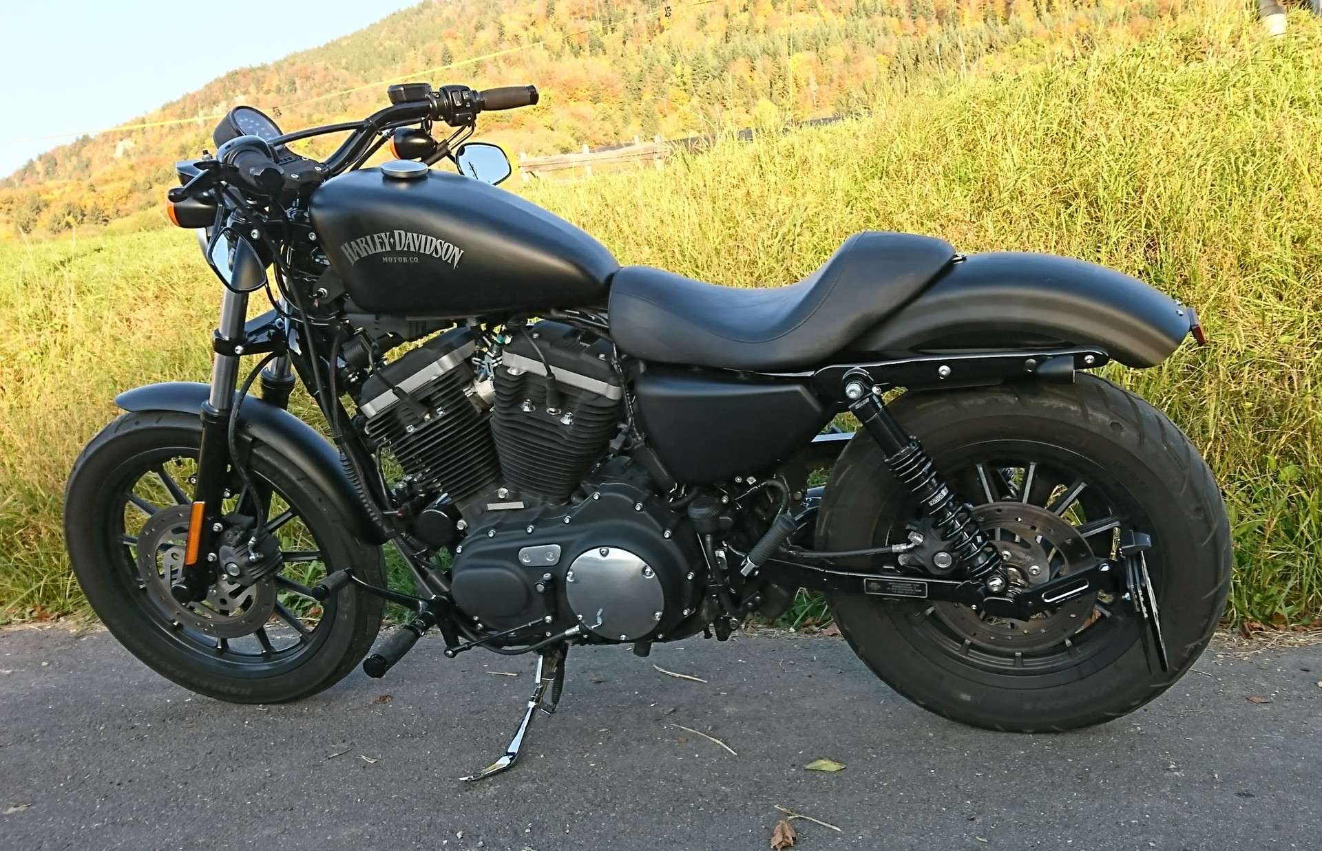 HARLEY-DAVIDSON XL 883 N Sportster Iron-image-1