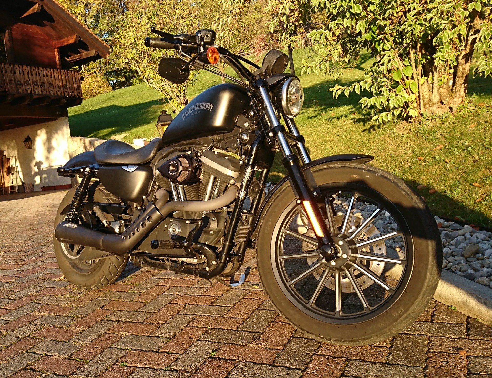 HARLEY-DAVIDSON XL 883 N Sportster Iron-image-2