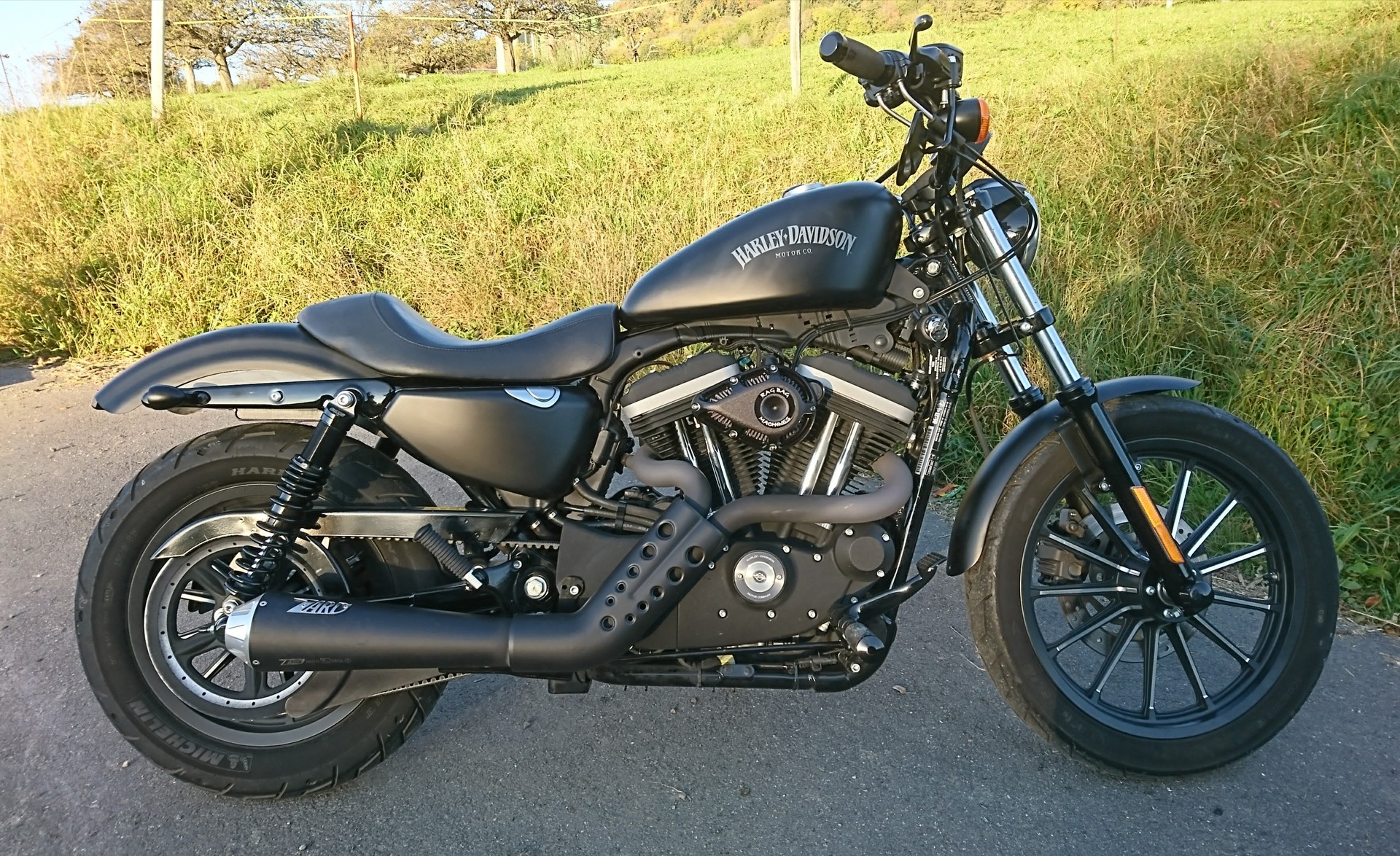 HARLEY-DAVIDSON XL 883 N Sportster Iron