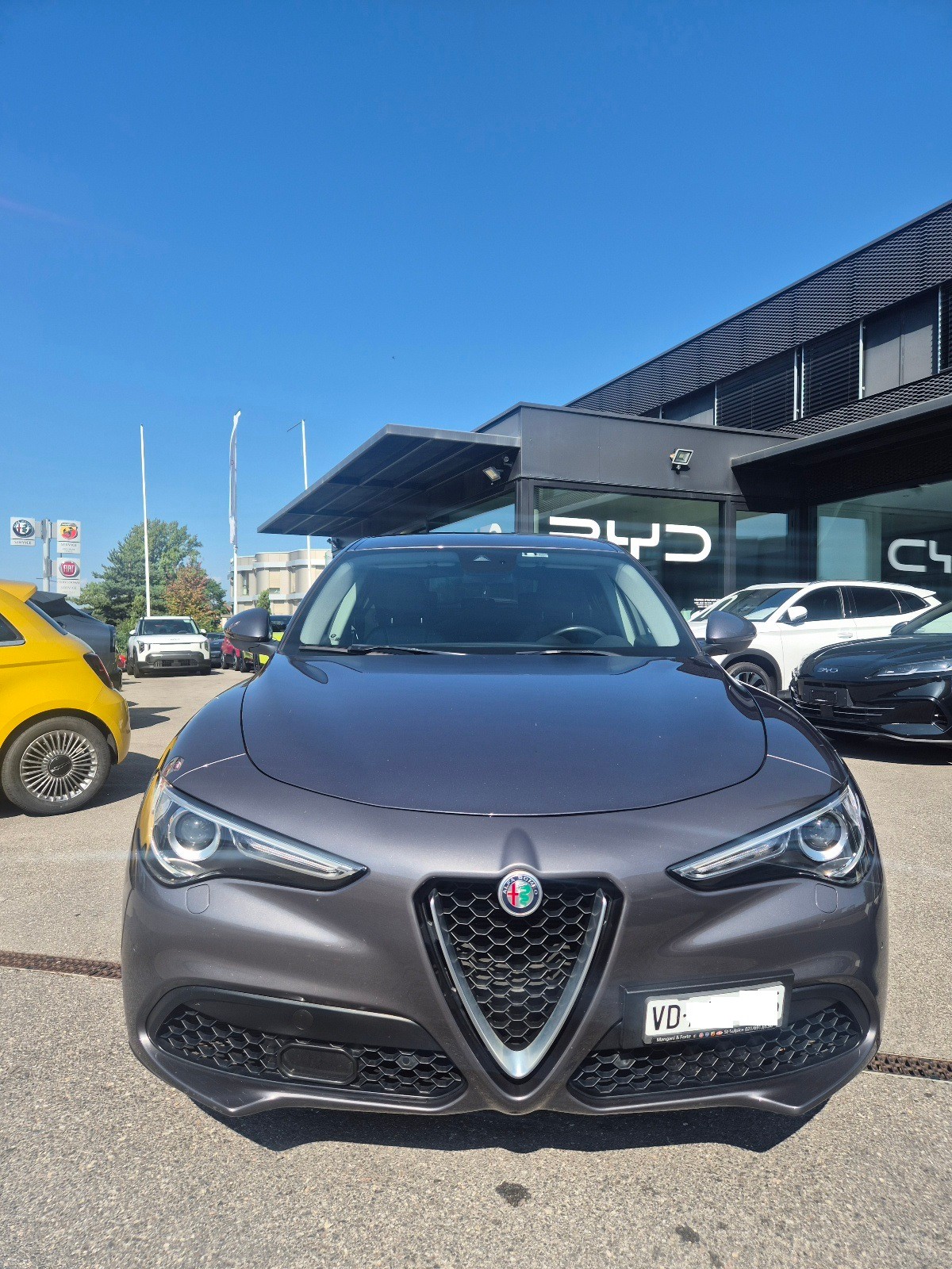 ALFA ROMEO Stelvio 2.0 First Edition Q4 Automatic-image-5