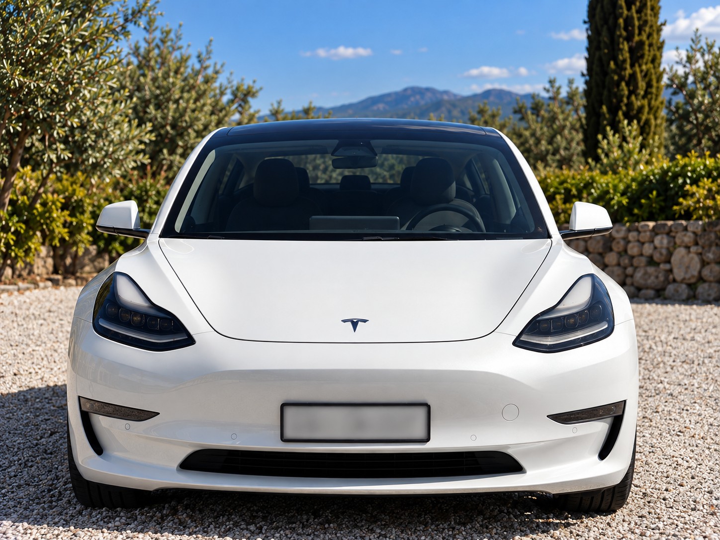 TESLA Long Range D-image-2