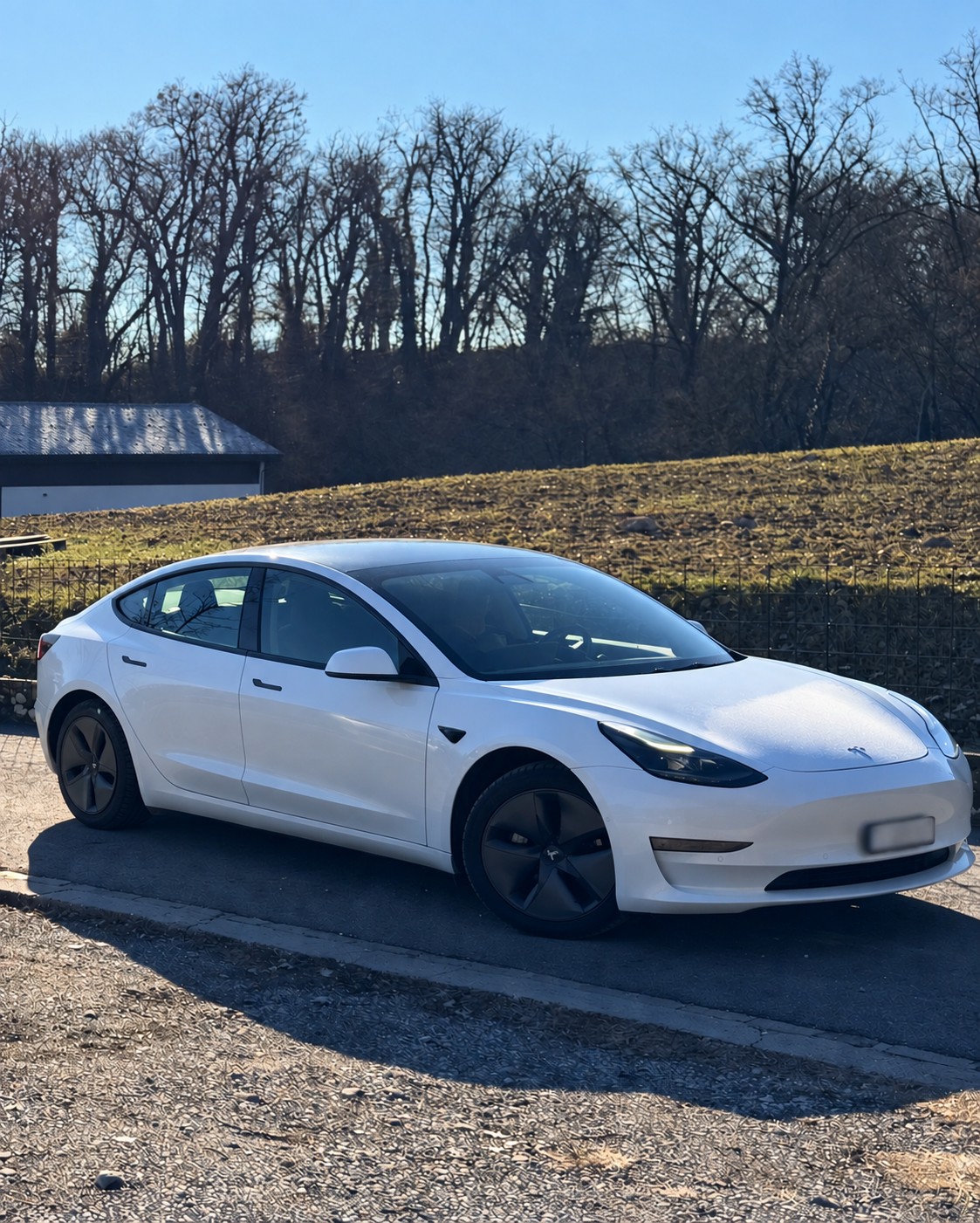TESLA Long Range D-image-3