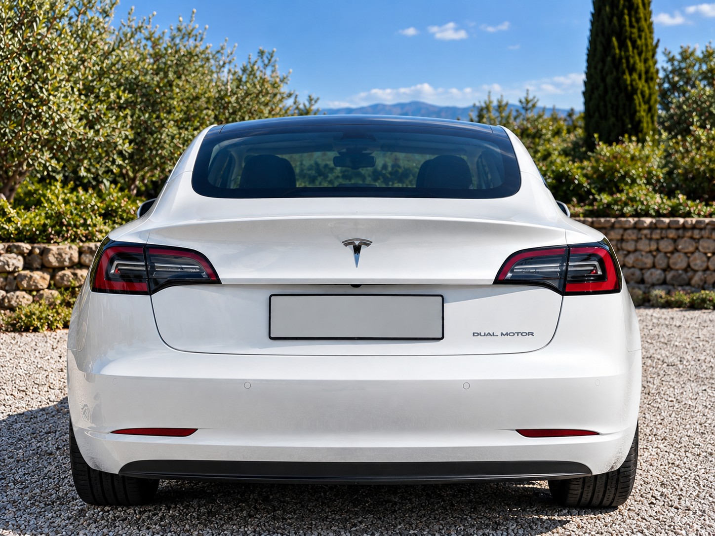TESLA Long Range D-image-1