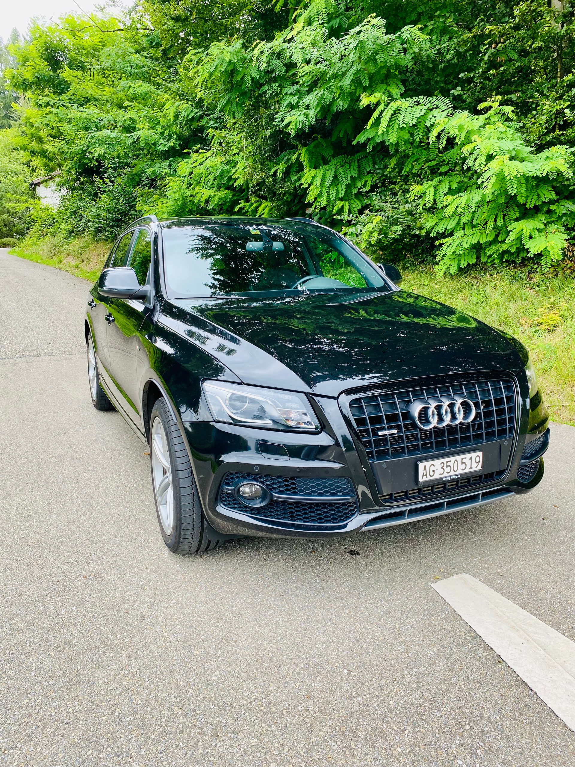 AUDI 3.0 V6 TDI quattro S-Tronic-image-6
