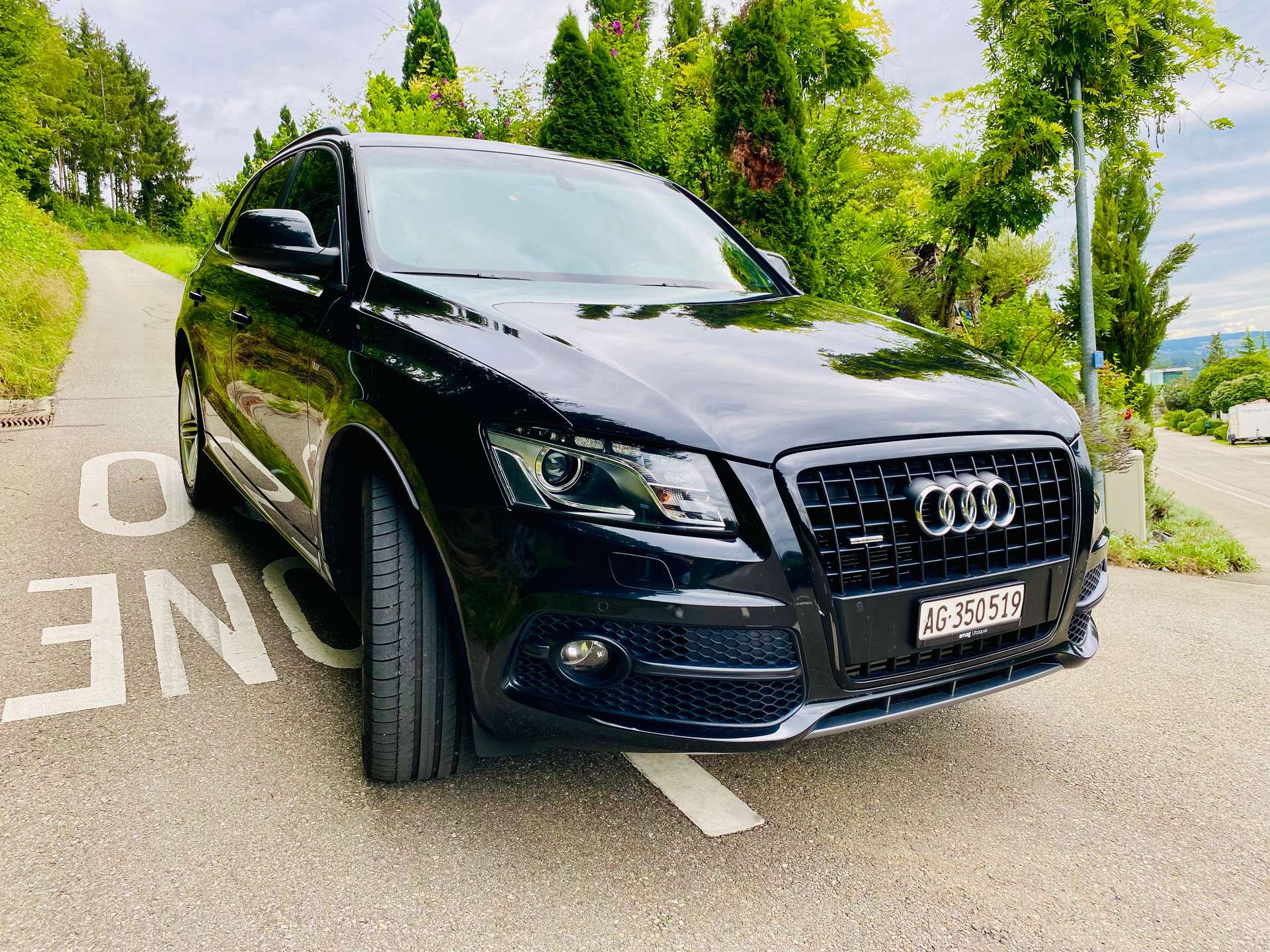 AUDI 3.0 V6 TDI quattro S-Tronic-image-12