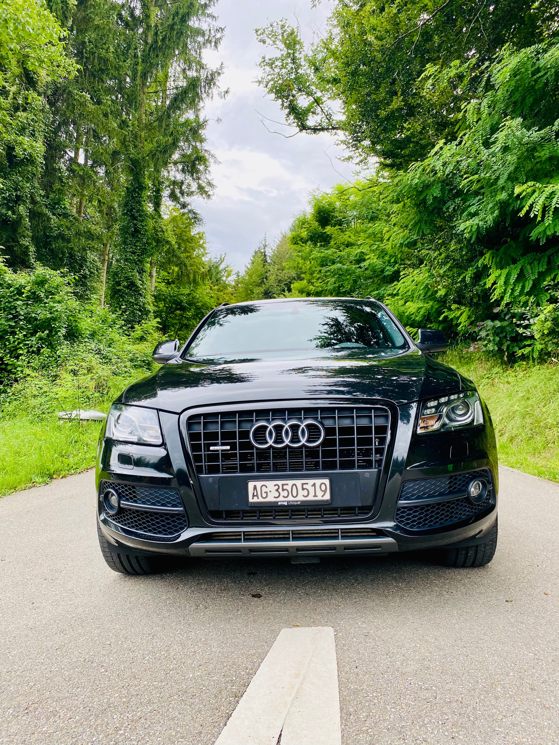 AUDI 3.0 V6 TDI quattro S-Tronic-image-5