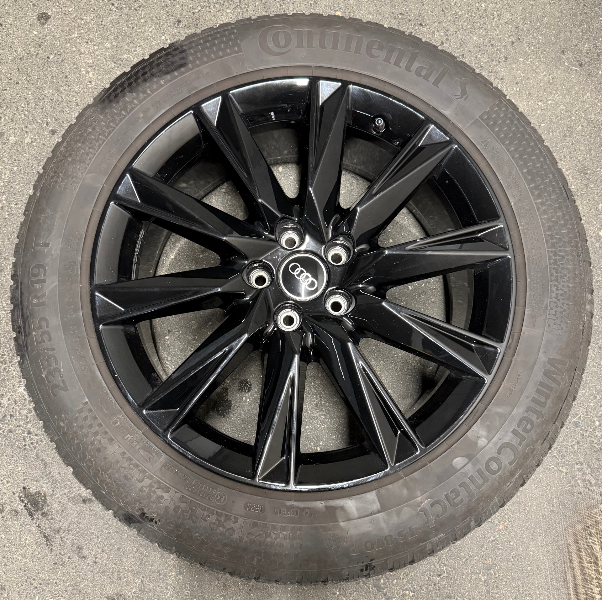 AUDI 50 quattro-image-5