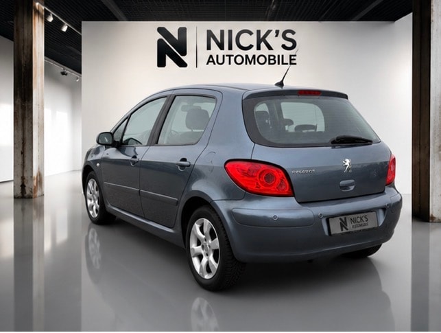 PEUGEOT 307 2.0 HDI XS-showroom-element-2