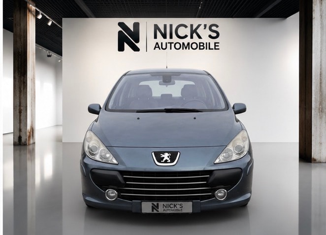 PEUGEOT 307 2.0 HDI XS-showroom-element-1