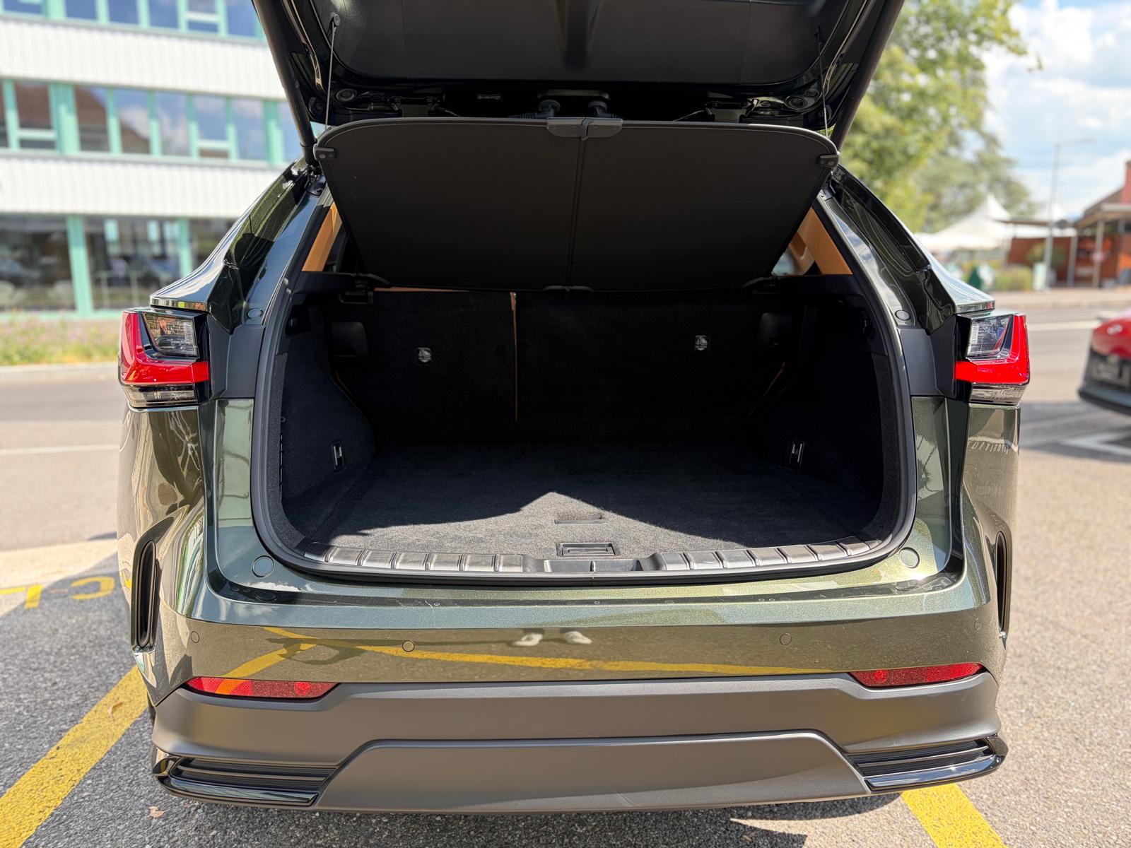 LEXUS NX 350h E-FOUR Excellence-image-15