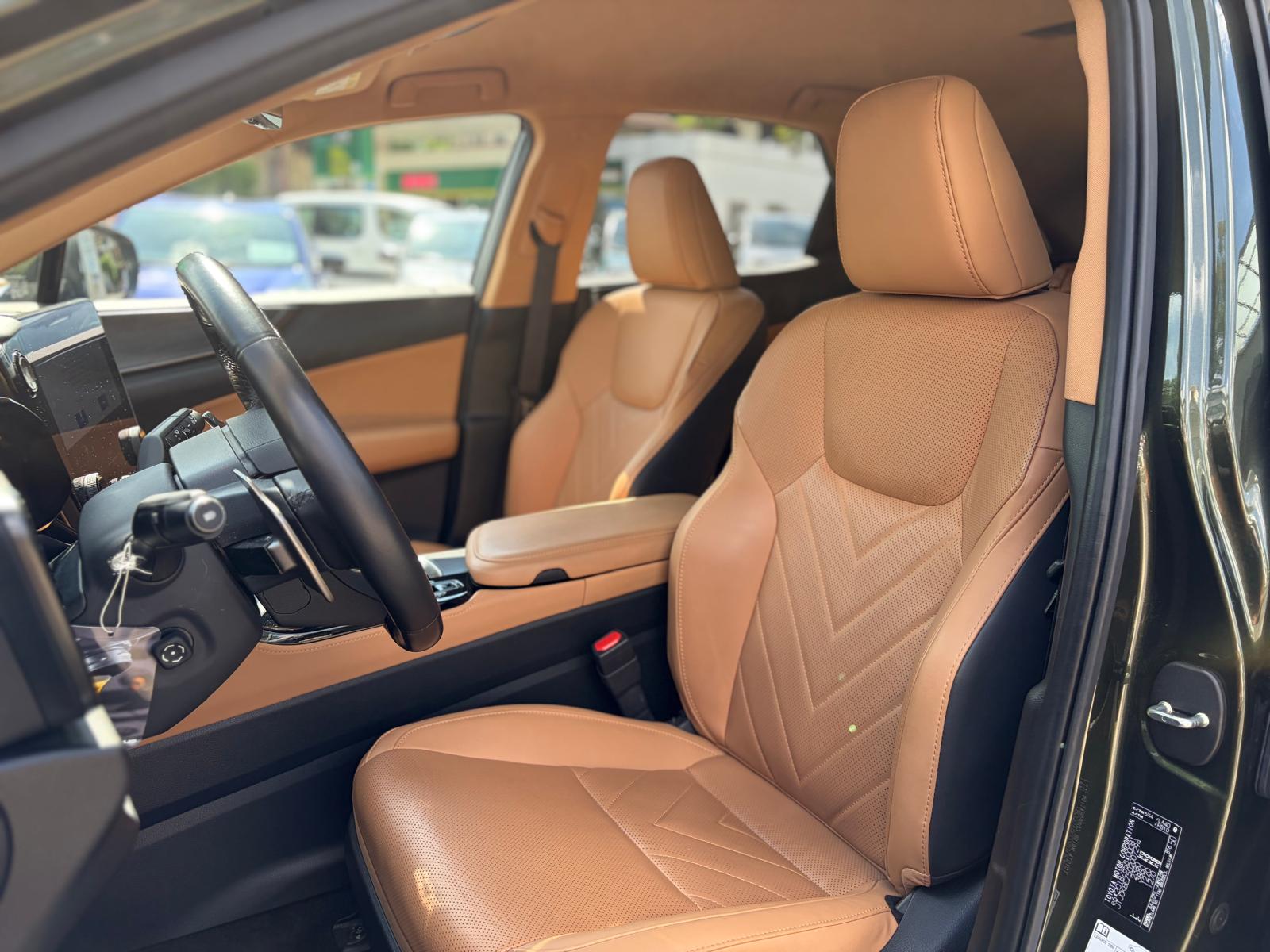 LEXUS NX 350h E-FOUR Excellence-image-9