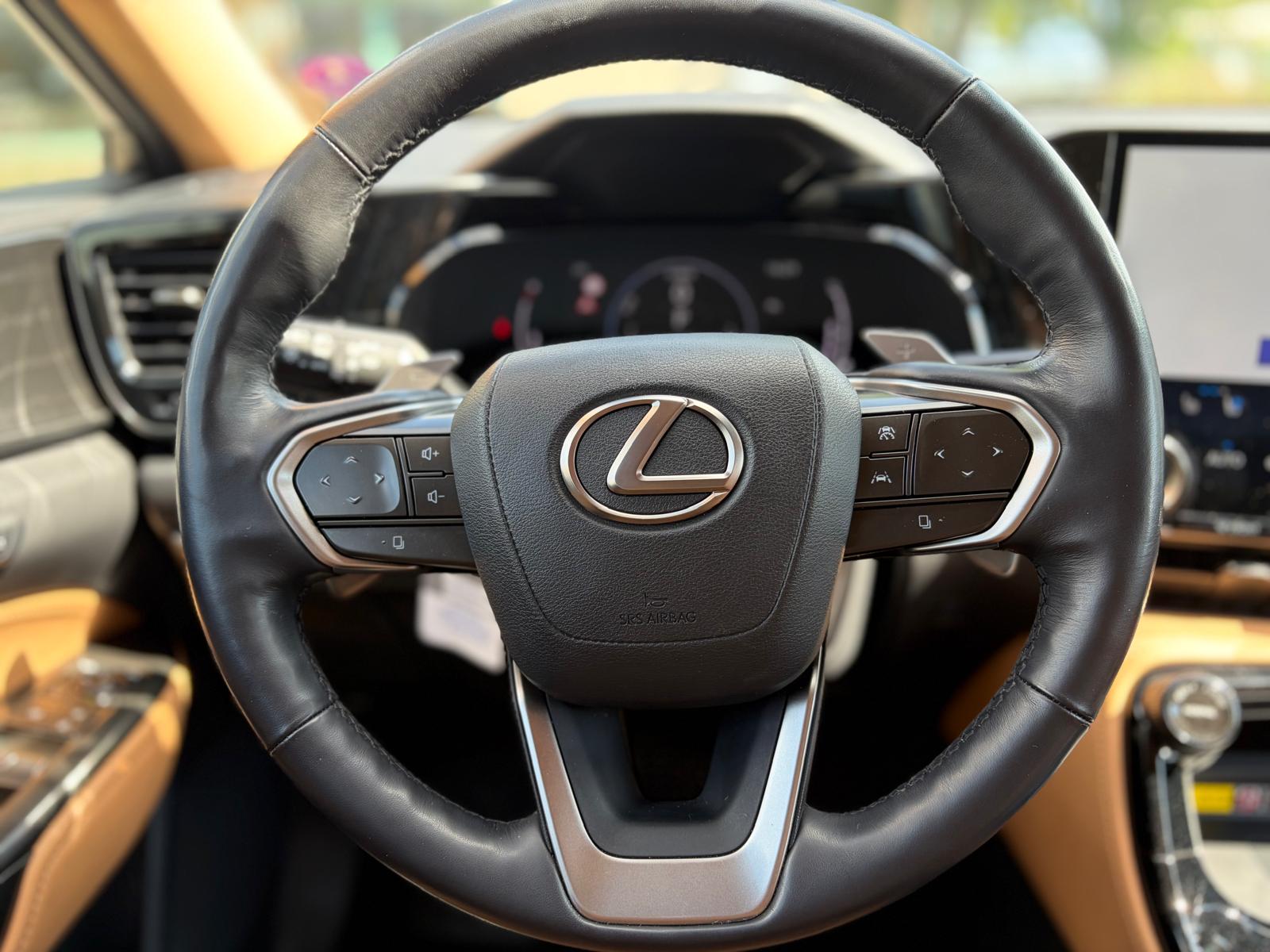 LEXUS NX 350h E-FOUR Excellence-image-18