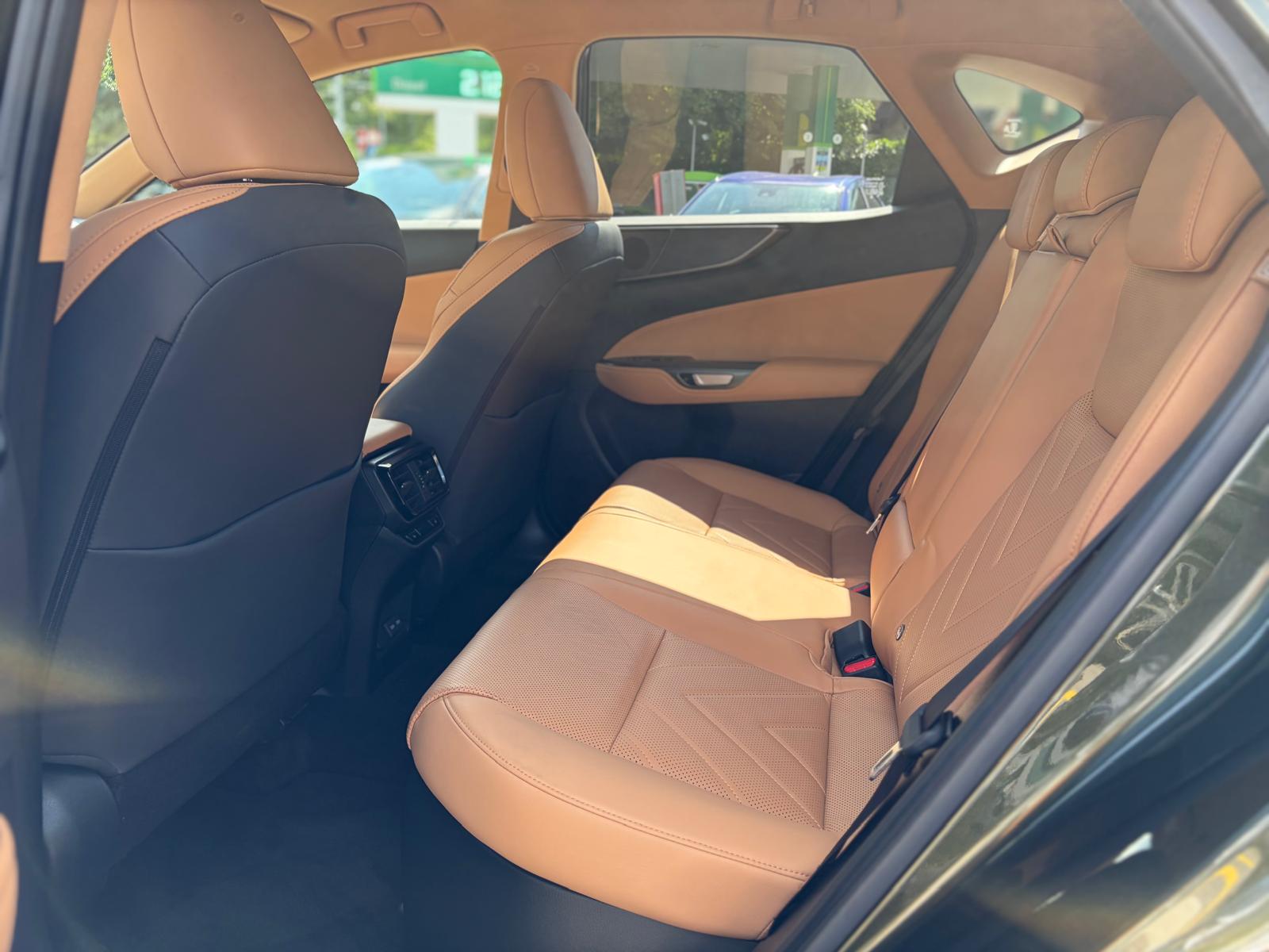 LEXUS NX 350h E-FOUR Excellence-image-13