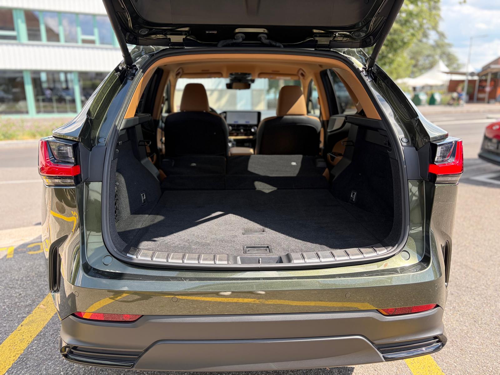 LEXUS NX 350h E-FOUR Excellence-image-16