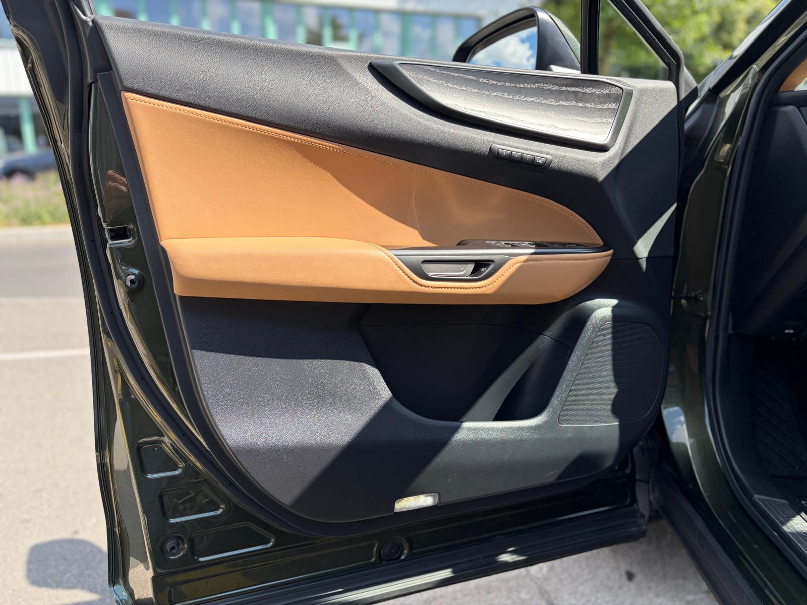 LEXUS NX 350h E-FOUR Excellence-image-12