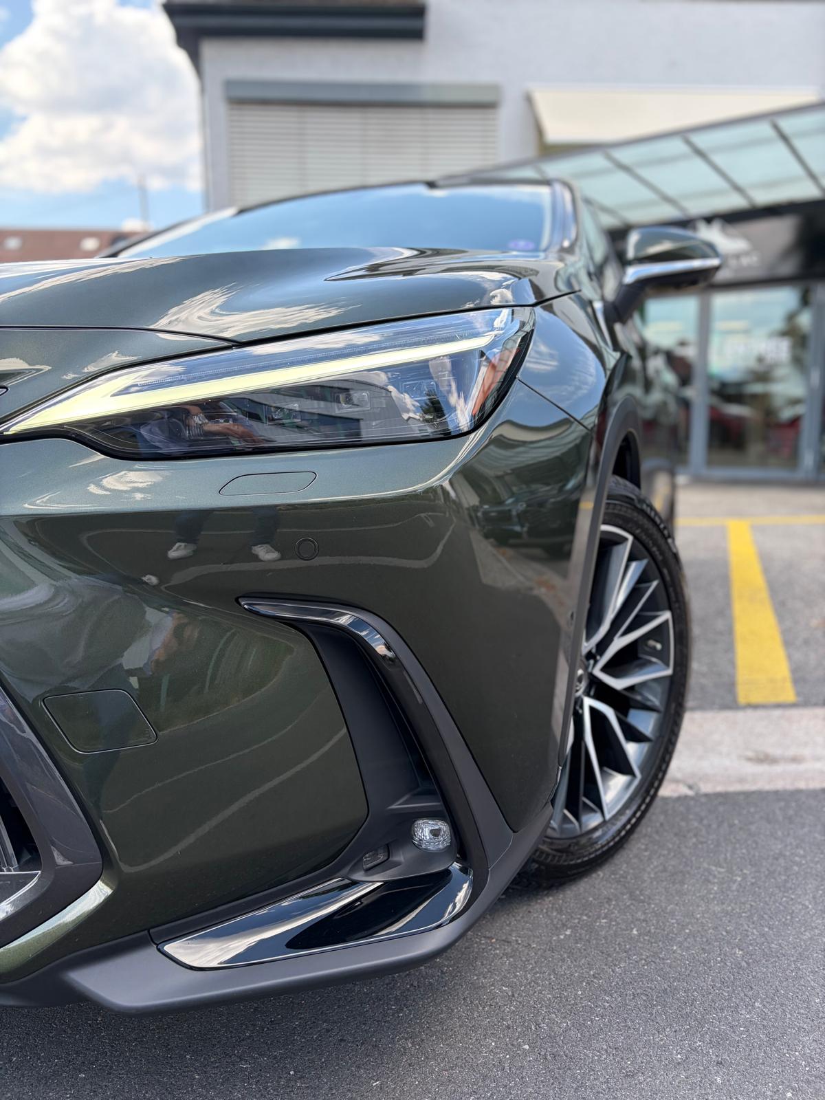 LEXUS NX 350h E-FOUR Excellence-image-4