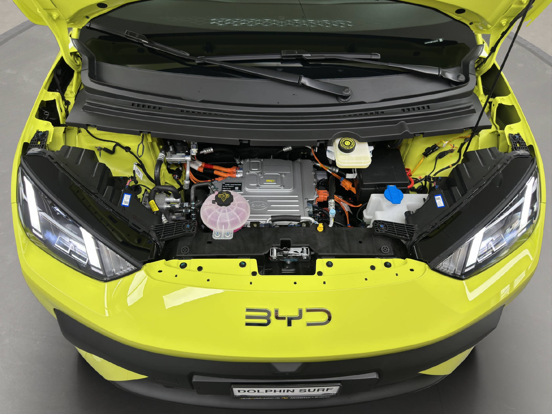 BYD Dolphin Surf Comfort 156 PS-image-13