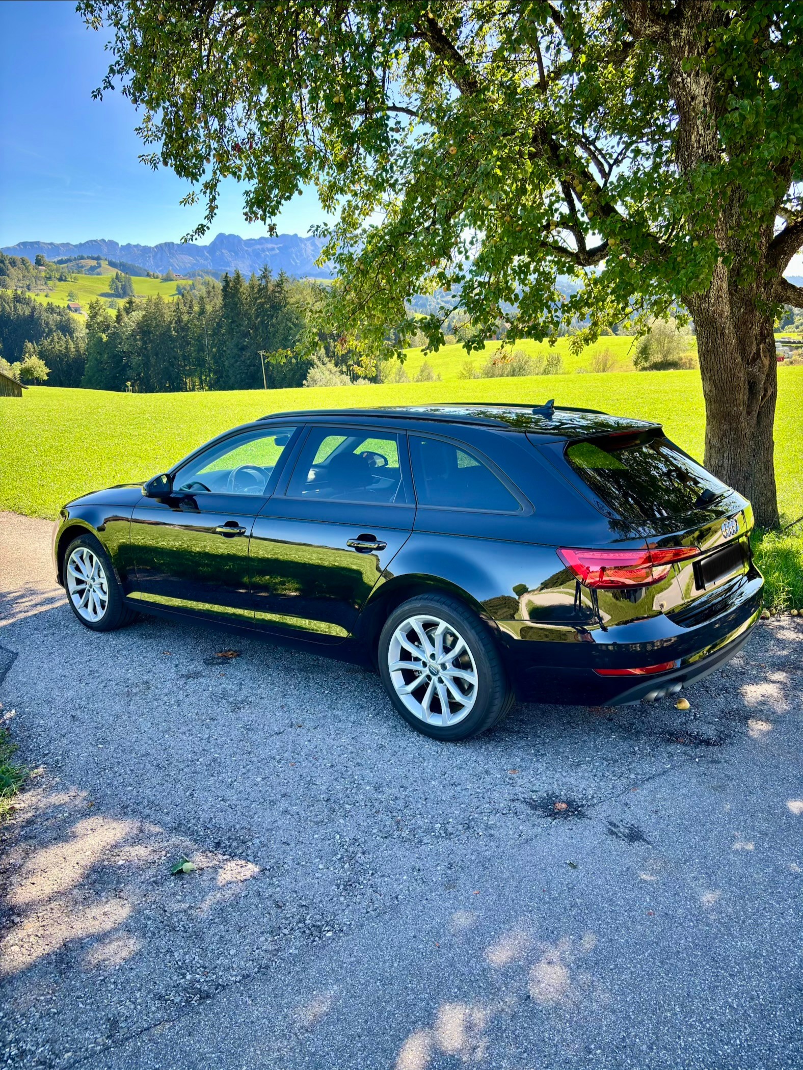 AUDI 2.0 TDI 190 Design quattro S-Tronic-image-2