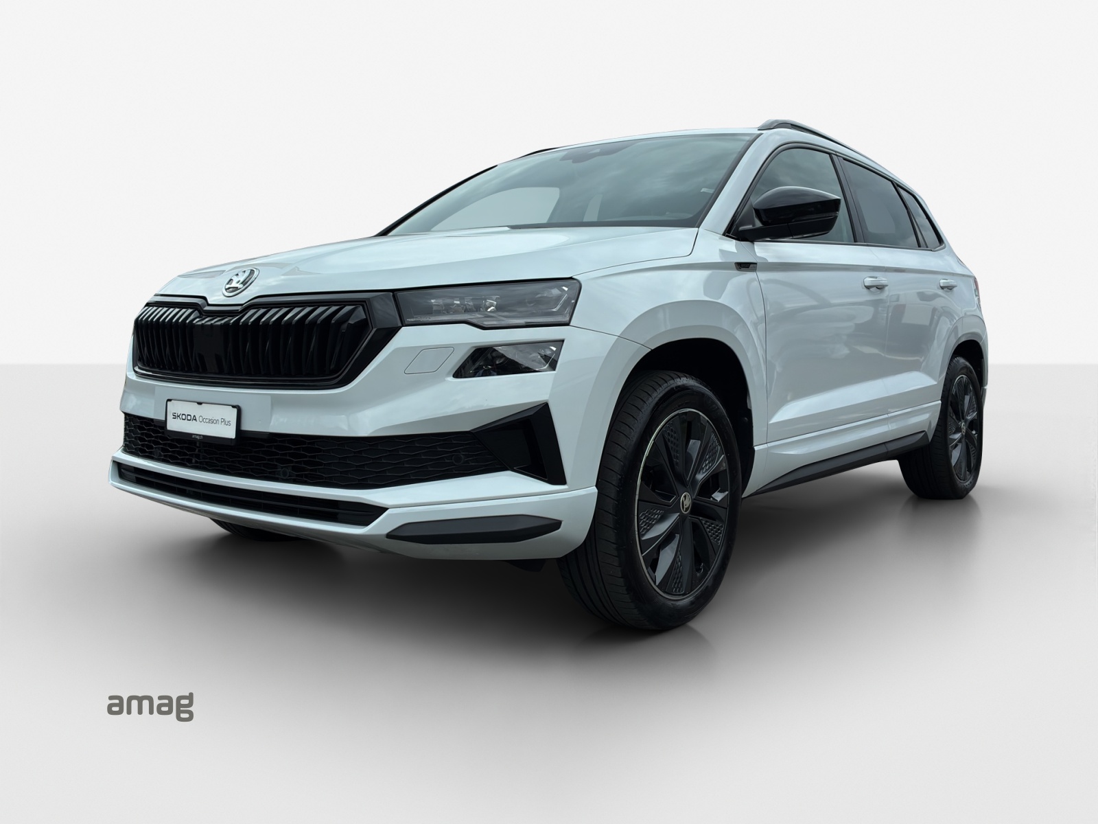 SKODA Karoq 2.0 TSI SportLine 4x4 DSG-image-0