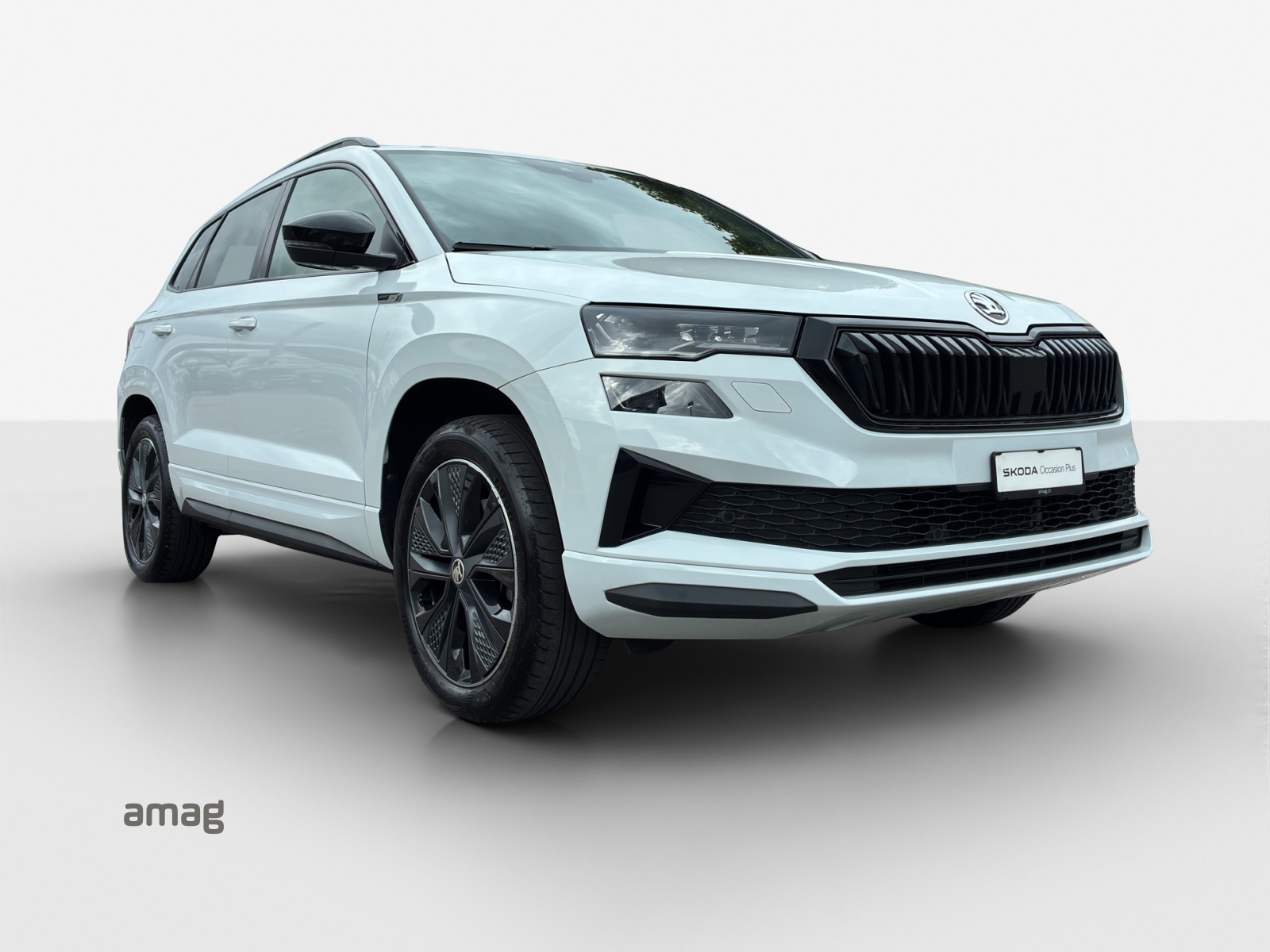 SKODA Karoq 2.0 TSI SportLine 4x4 DSG-image-5