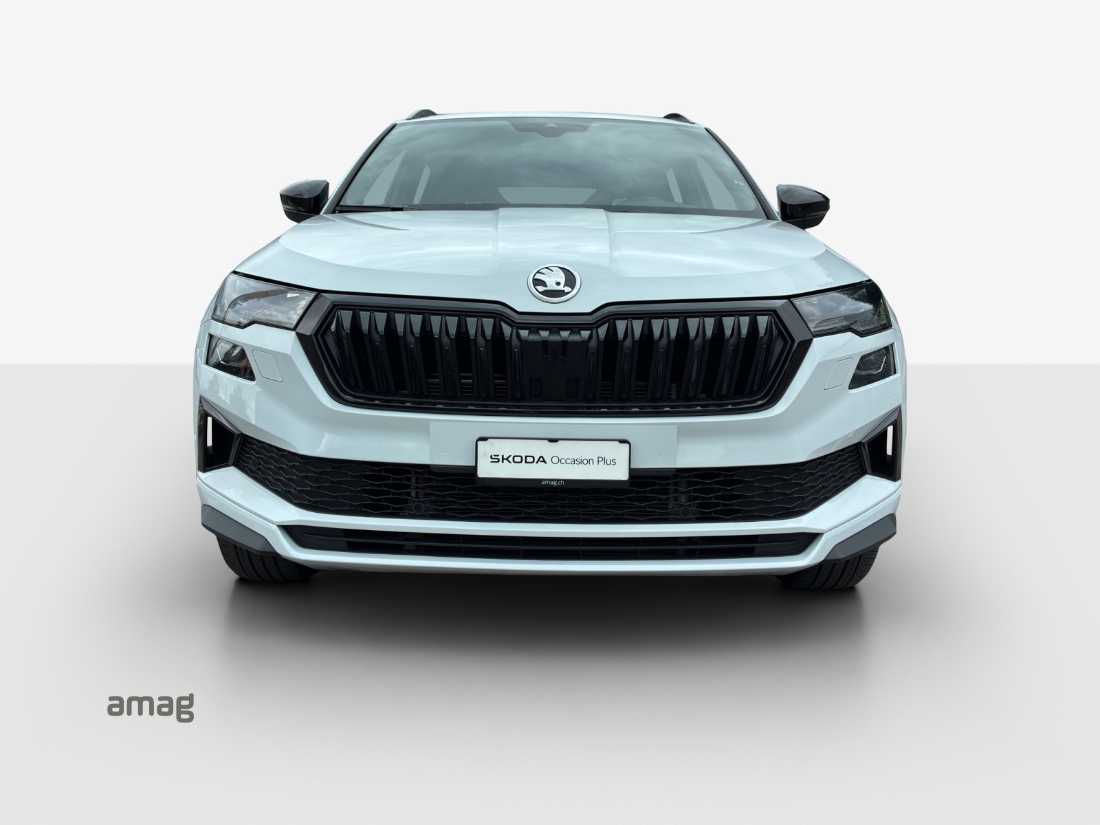 SKODA Karoq 2.0 TSI SportLine 4x4 DSG-image-6