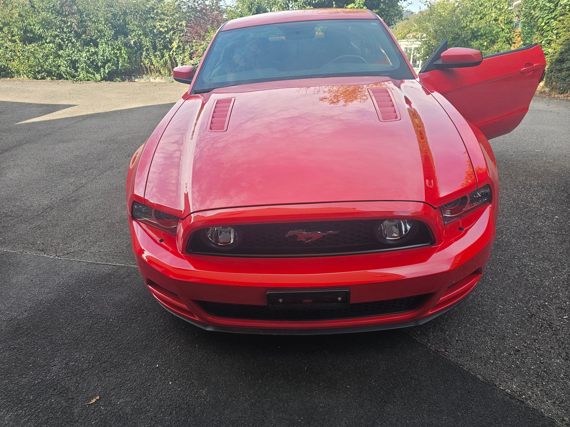 FORD 5.0 GT-image-1