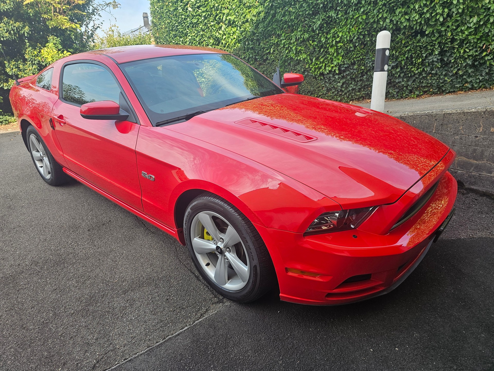 FORD 5.0 GT-image-2