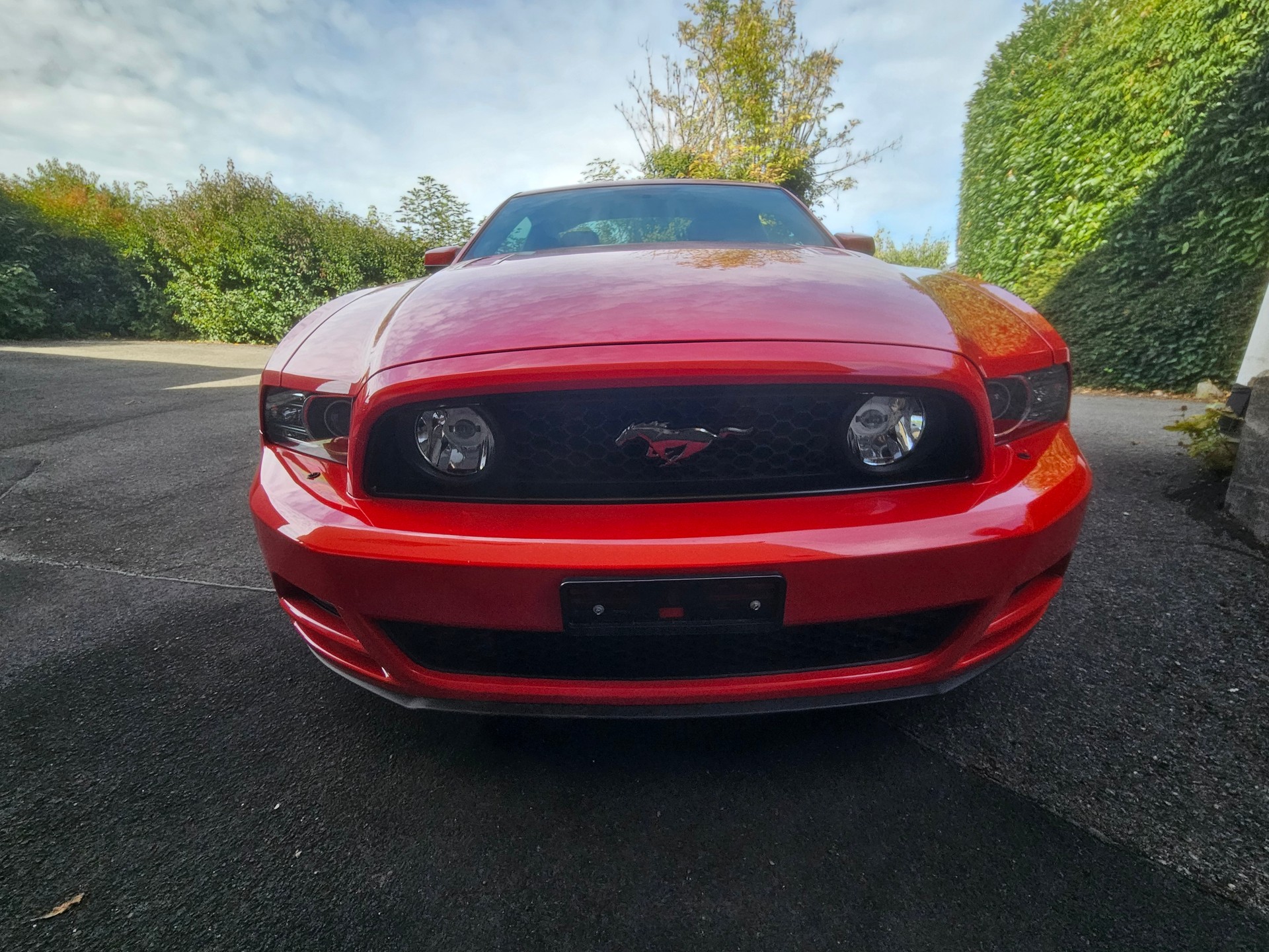 FORD 5.0 GT-image-8