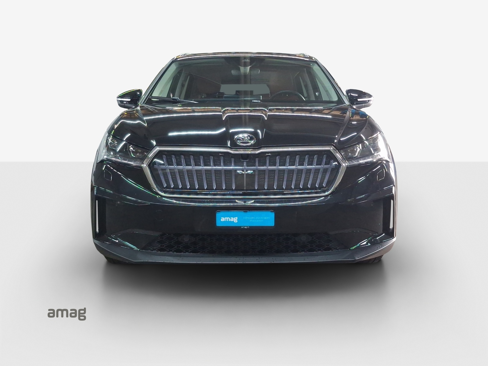SKODA Enyaq iV 80x-image-6