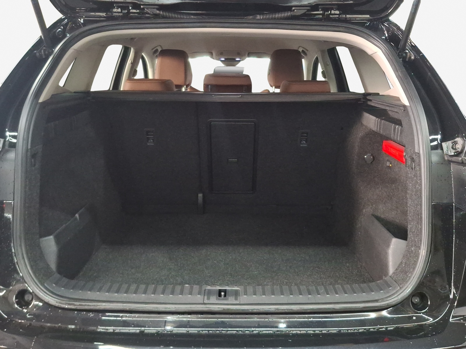 SKODA Enyaq iV 80x-image-13