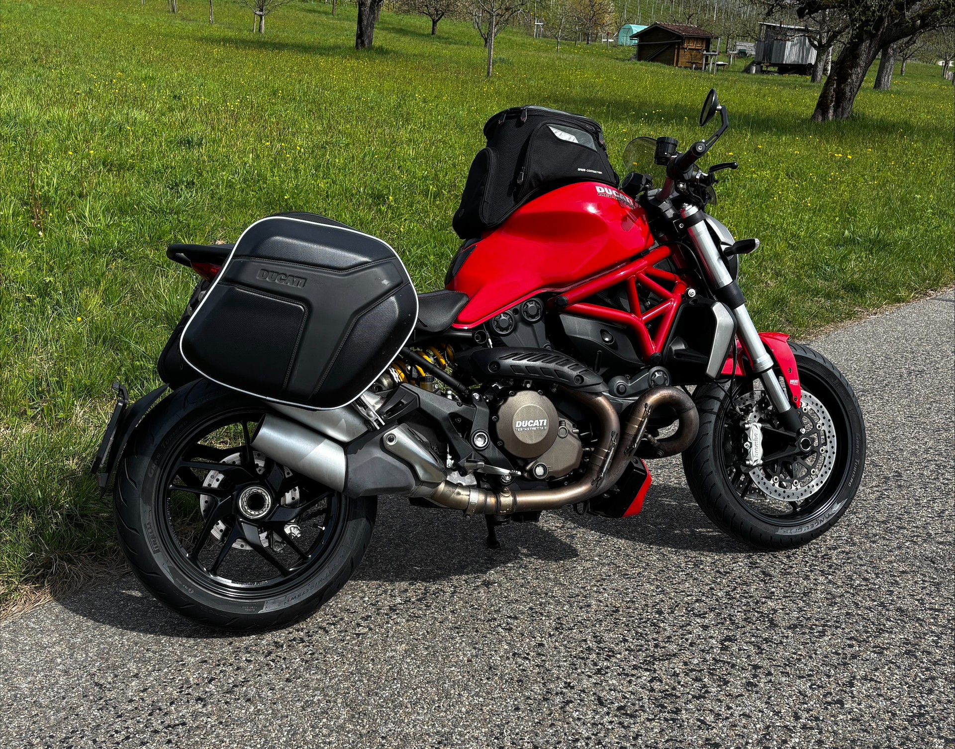 DUCATI Monster 1200 ABS-image-2