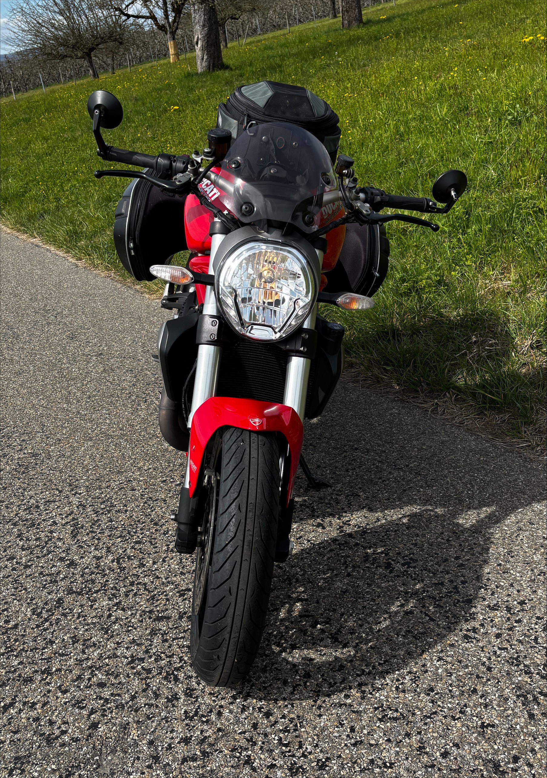 DUCATI Monster 1200 ABS-image-3