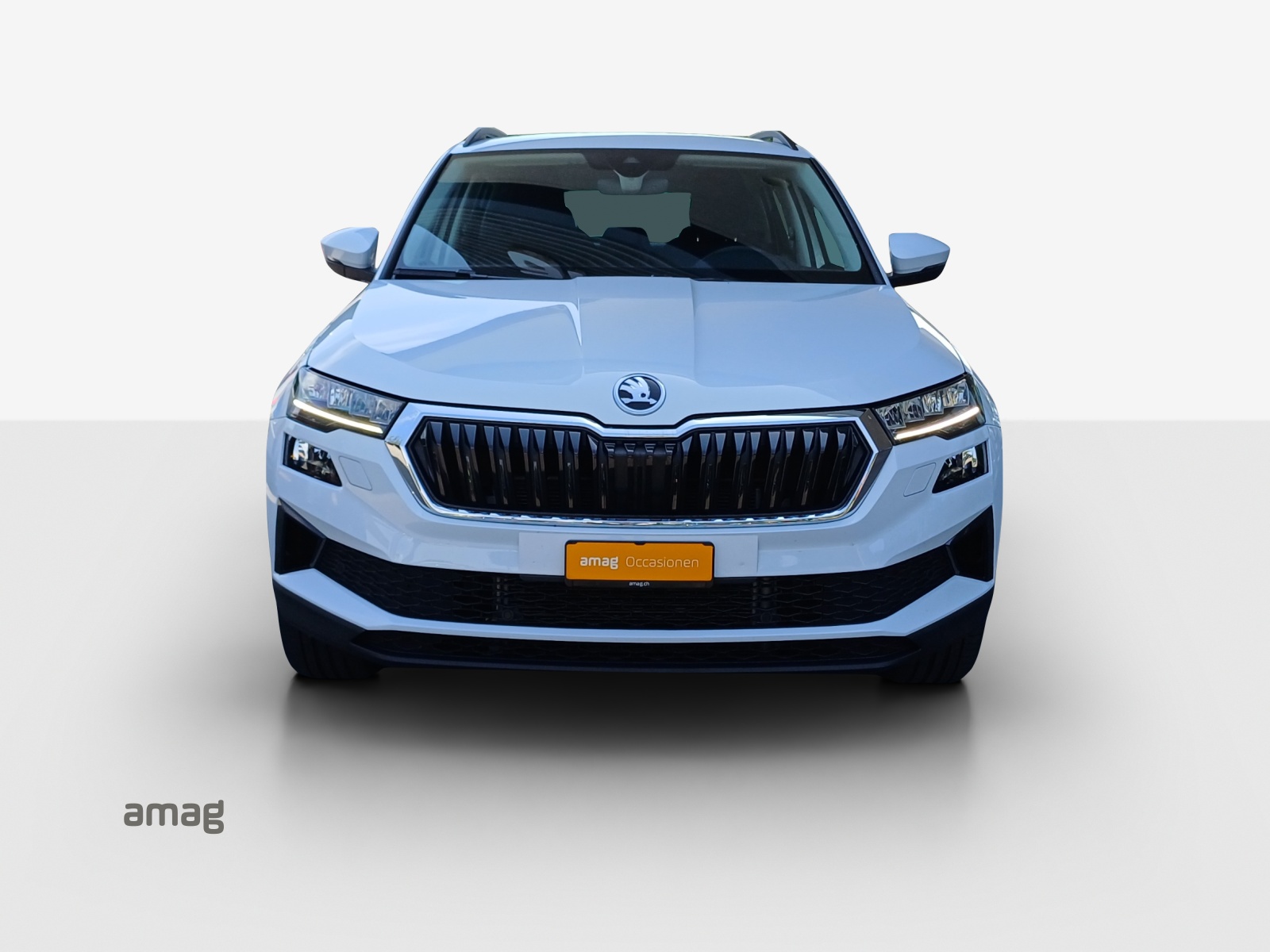 SKODA Karoq 2.0 TDI CR Ambition 4x4 DSG-image-6