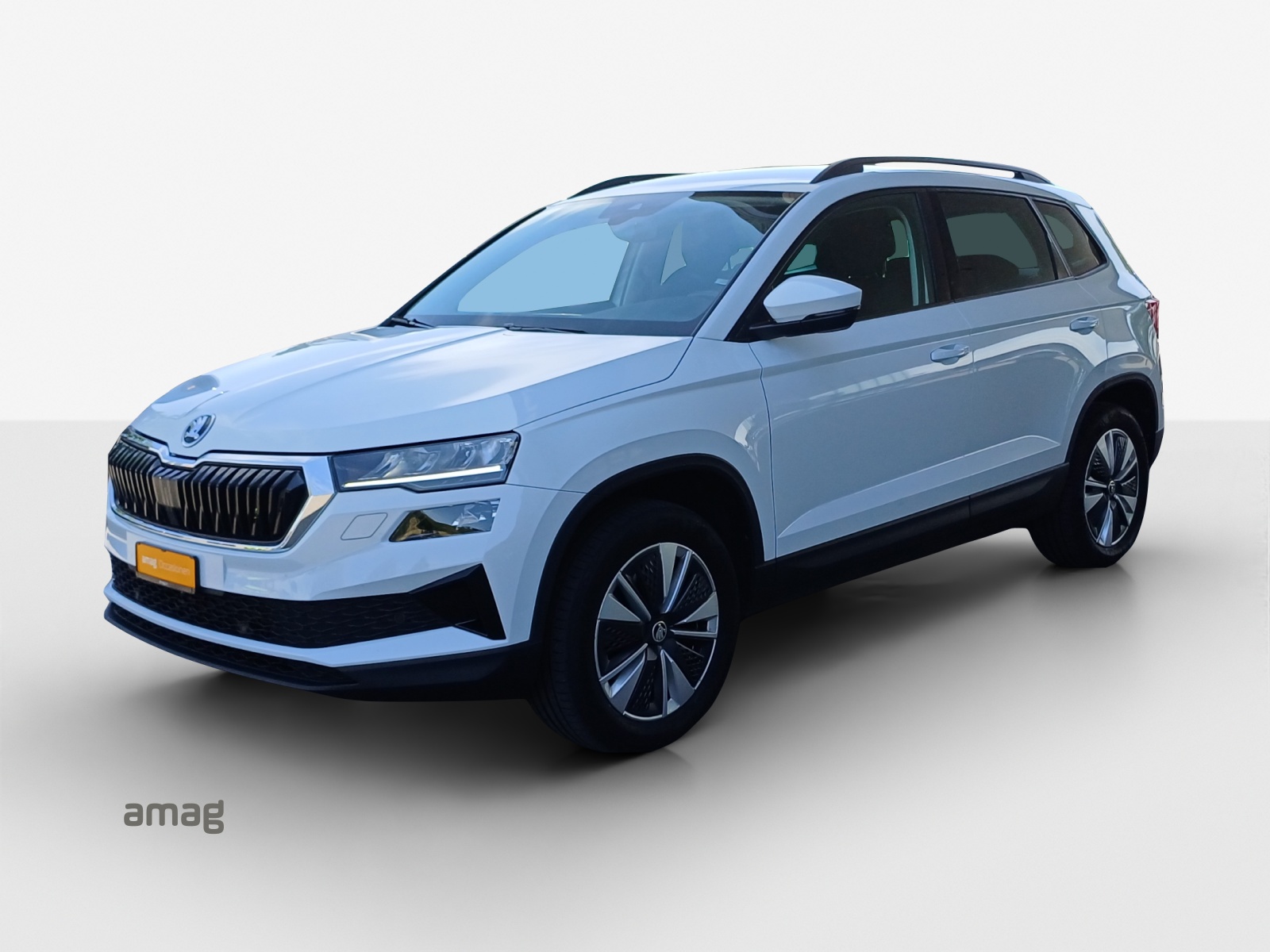 SKODA Karoq 2.0 TDI CR Ambition 4x4 DSG-image-0