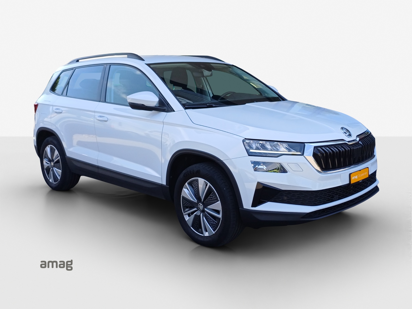 SKODA Karoq 2.0 TDI CR Ambition 4x4 DSG-image-5