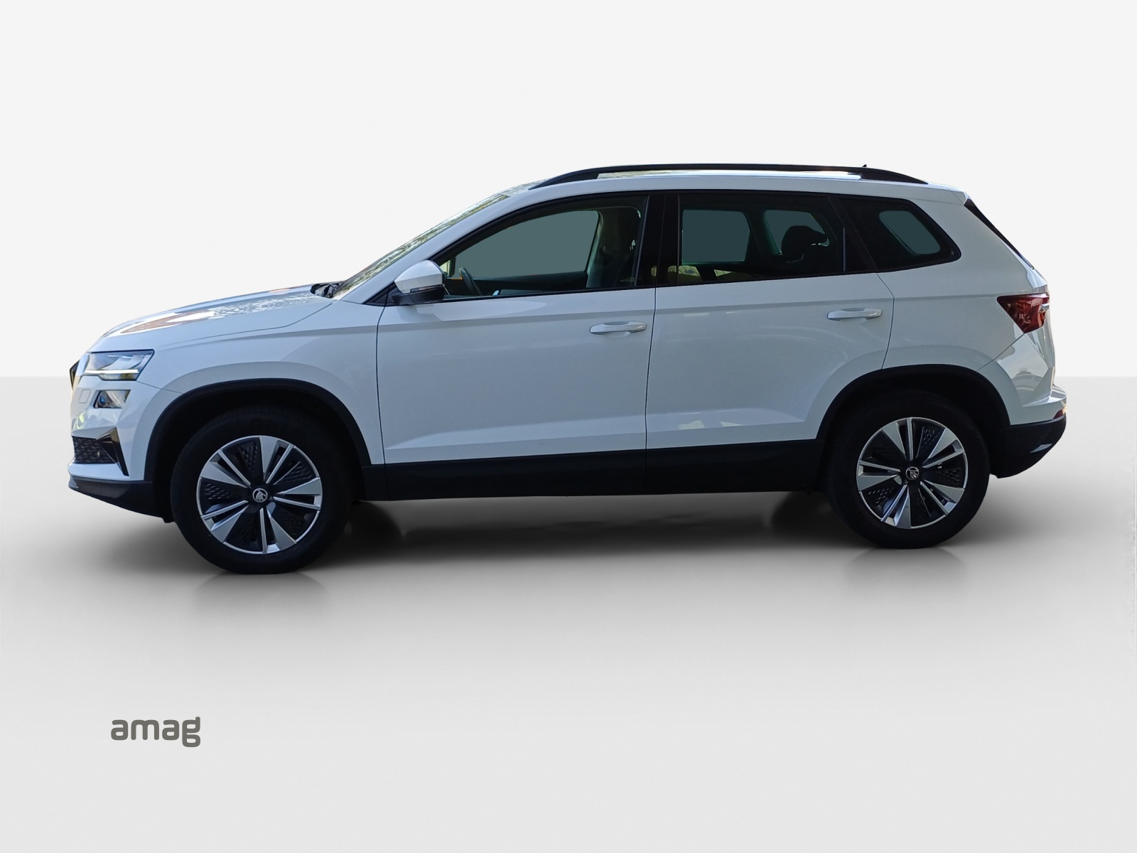 SKODA Karoq 2.0 TDI CR Ambition 4x4 DSG-image-1