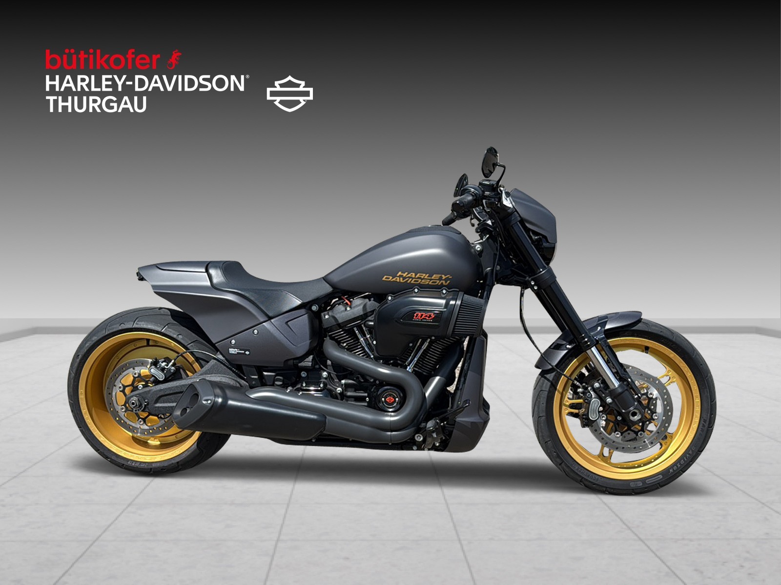 HARLEY-DAVIDSON FXDRS 114 ABS-showroom-element-1