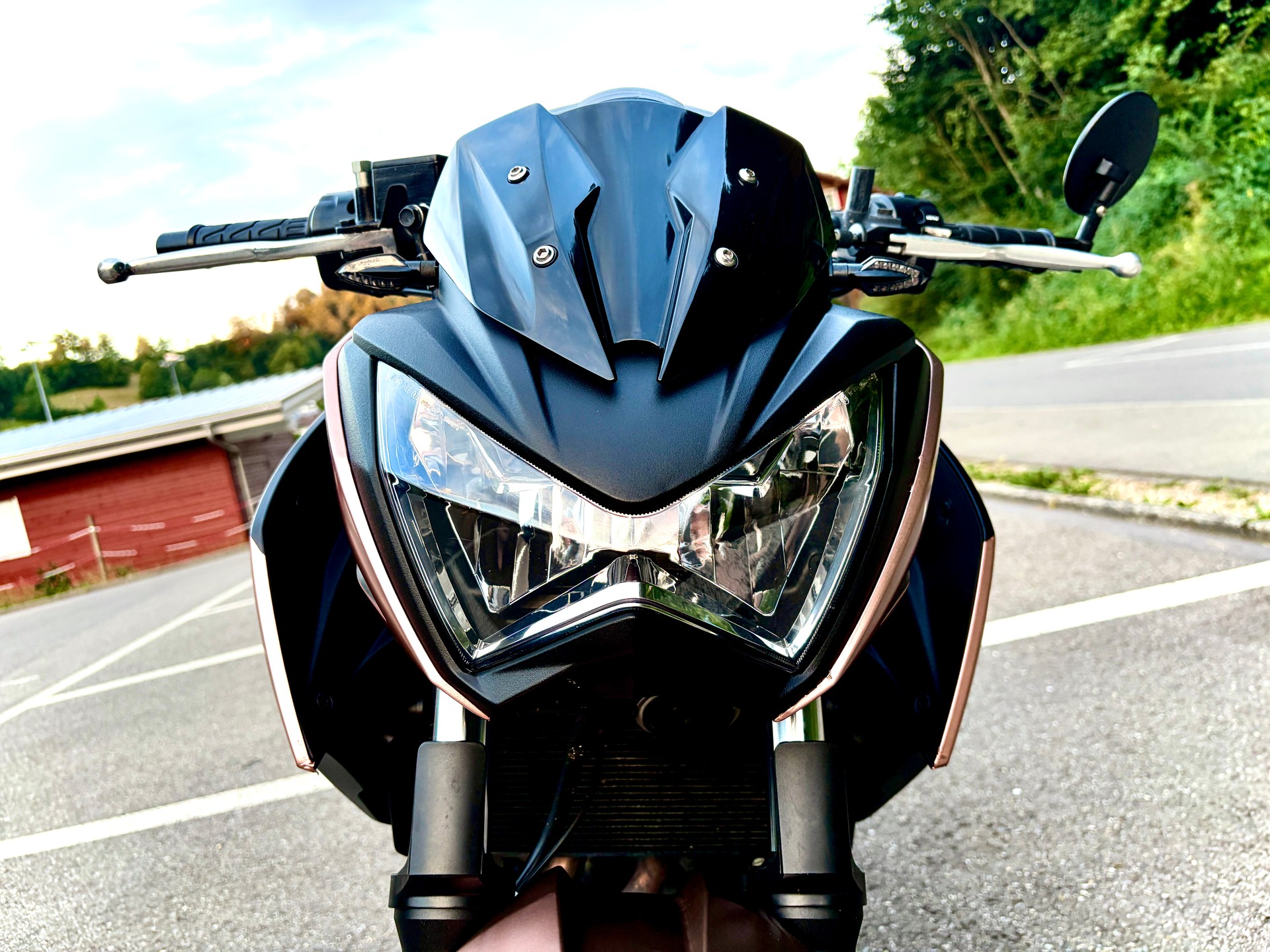 KAWASAKI Z 300 ABS-image-3