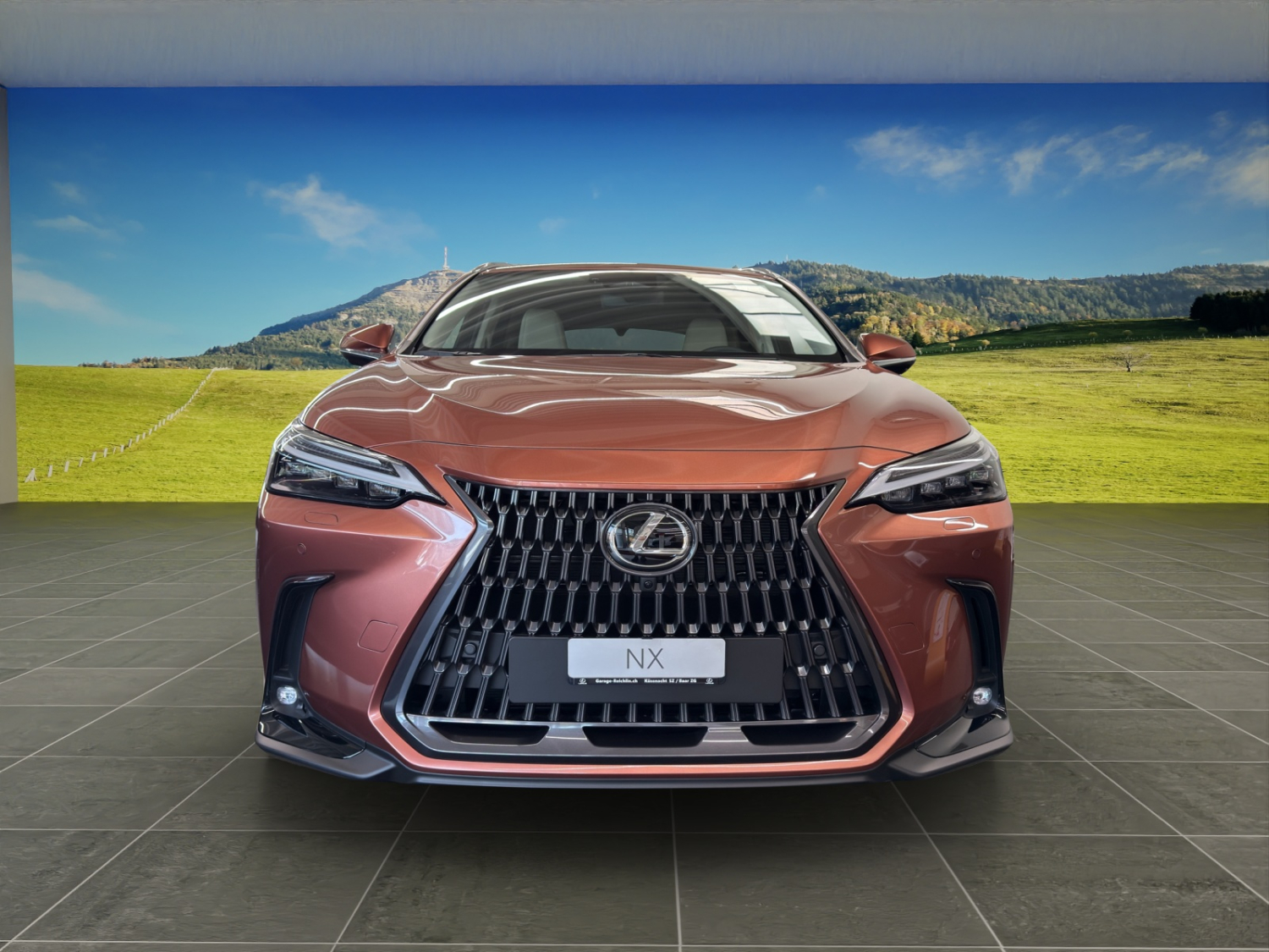 LEXUS NX 450h+ Excellence-image-6