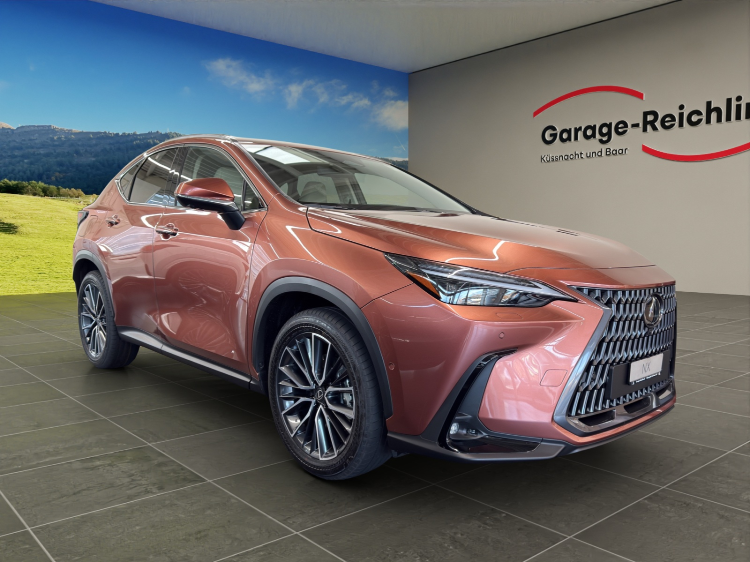 LEXUS NX 450h+ Excellence-image-5
