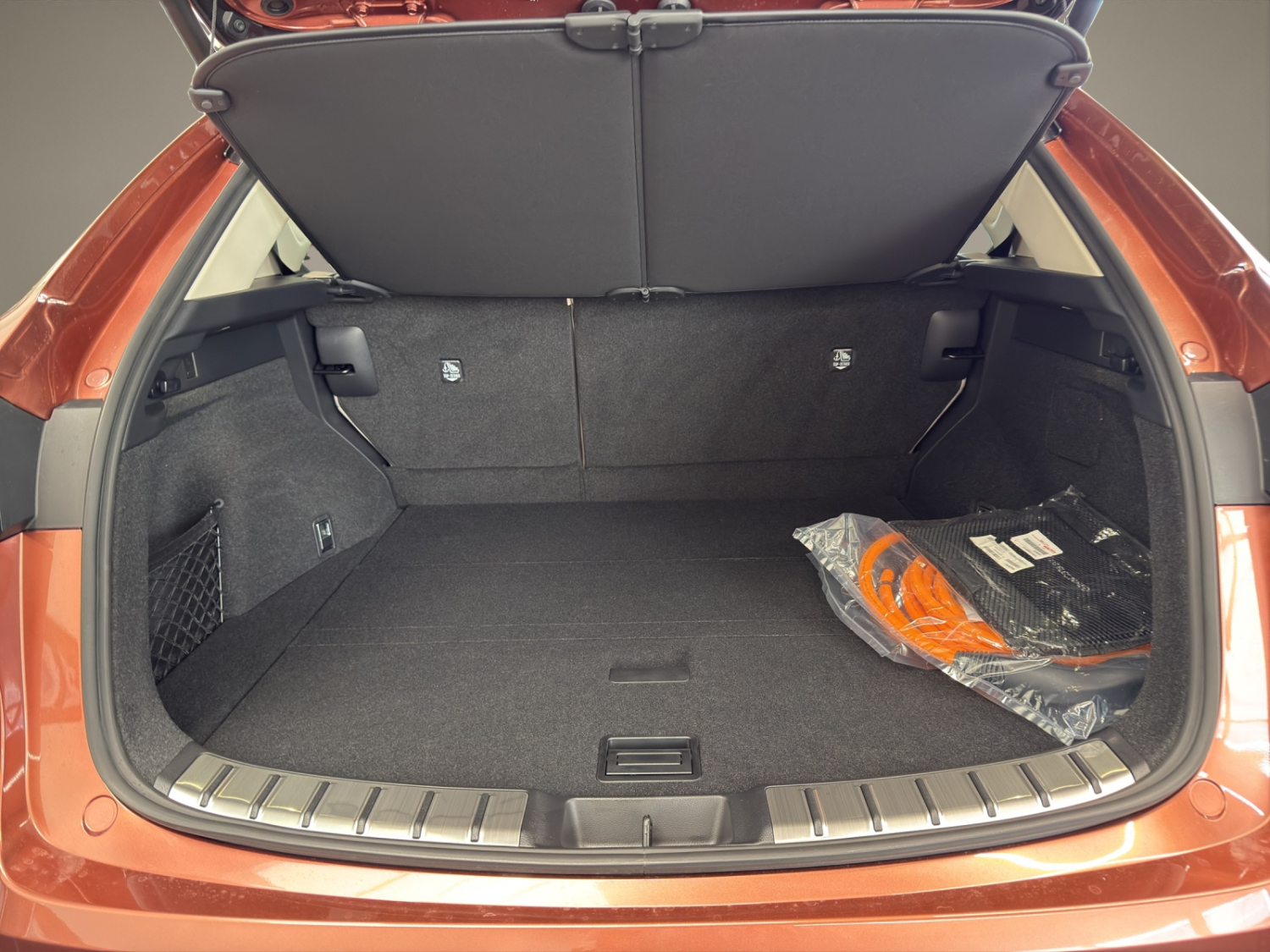 LEXUS NX 450h+ Excellence-image-17