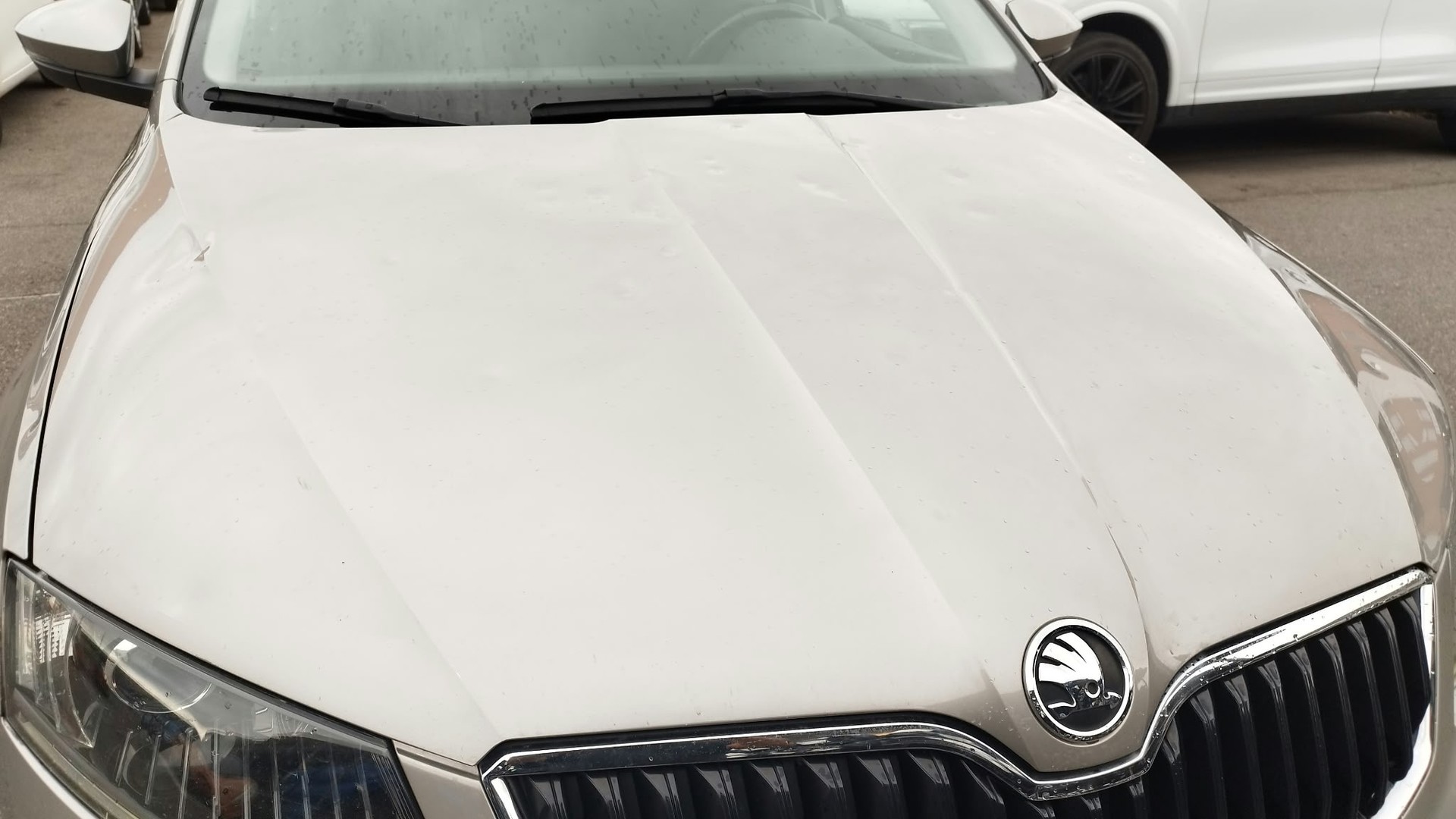 SKODA Octavia 1.8 TSI Elegance DSG-image-11
