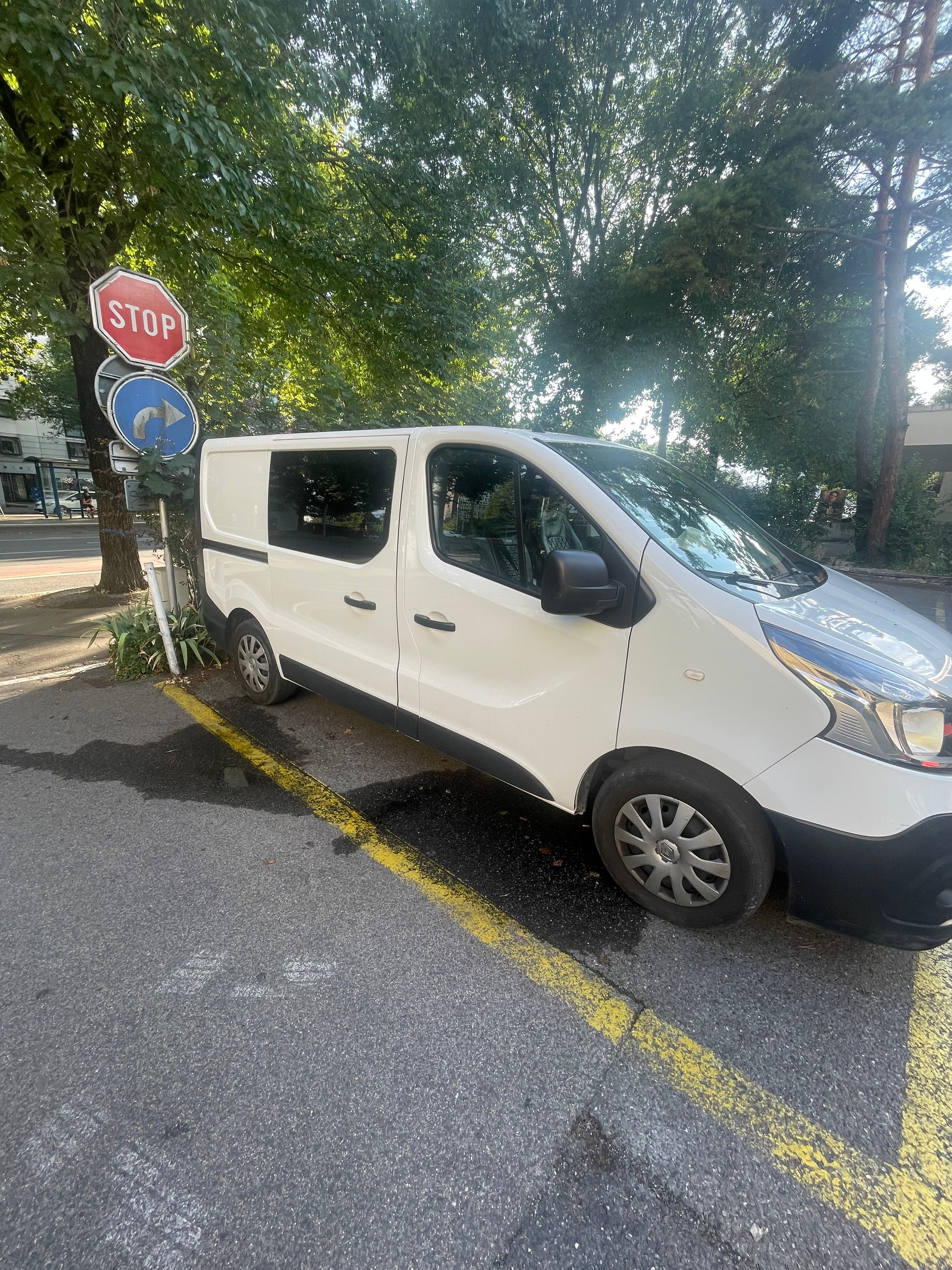 RENAULT 2.0 dCi 120 Business-image-5