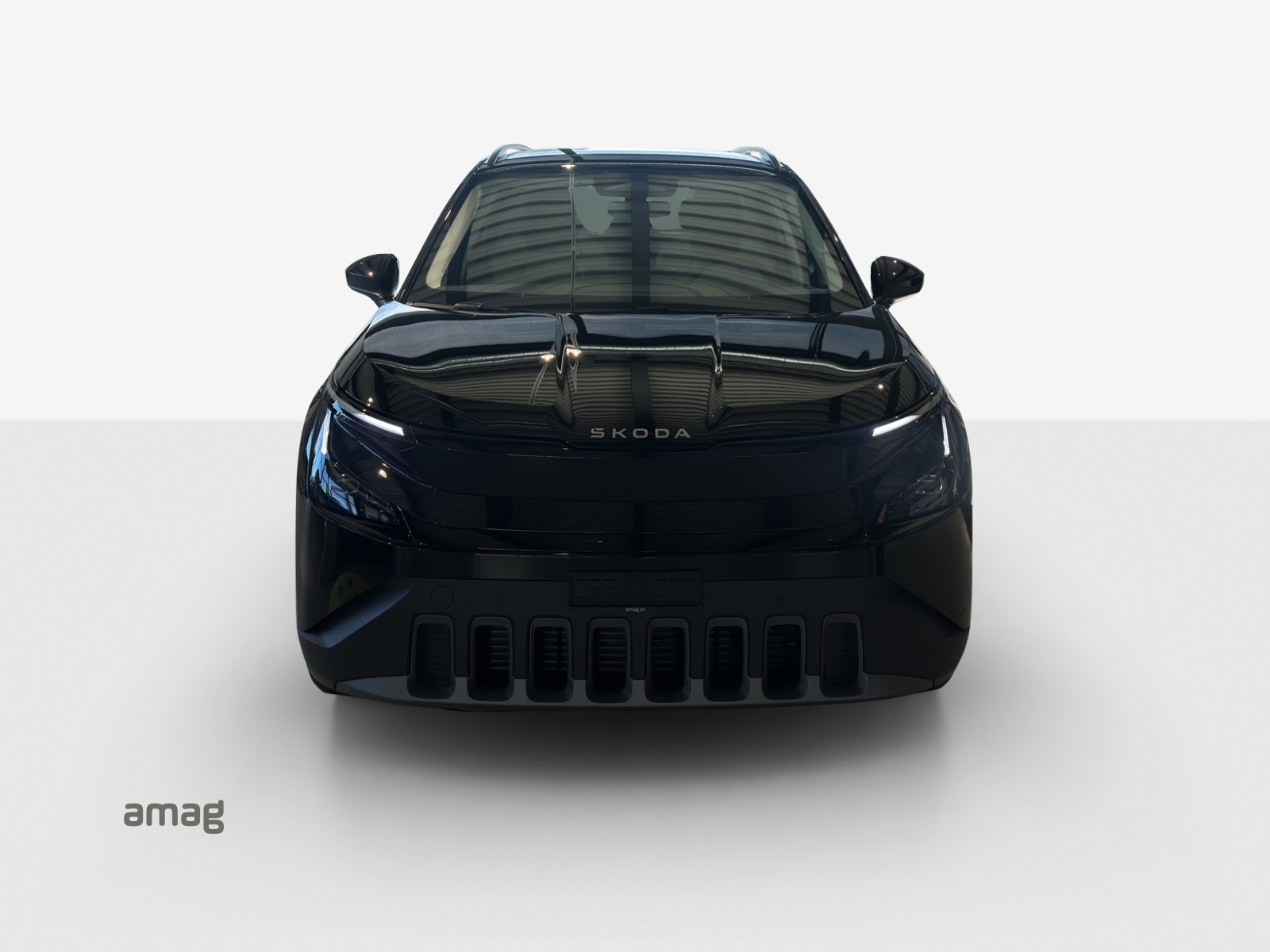 SKODA Epiq 55 Selection-image-7