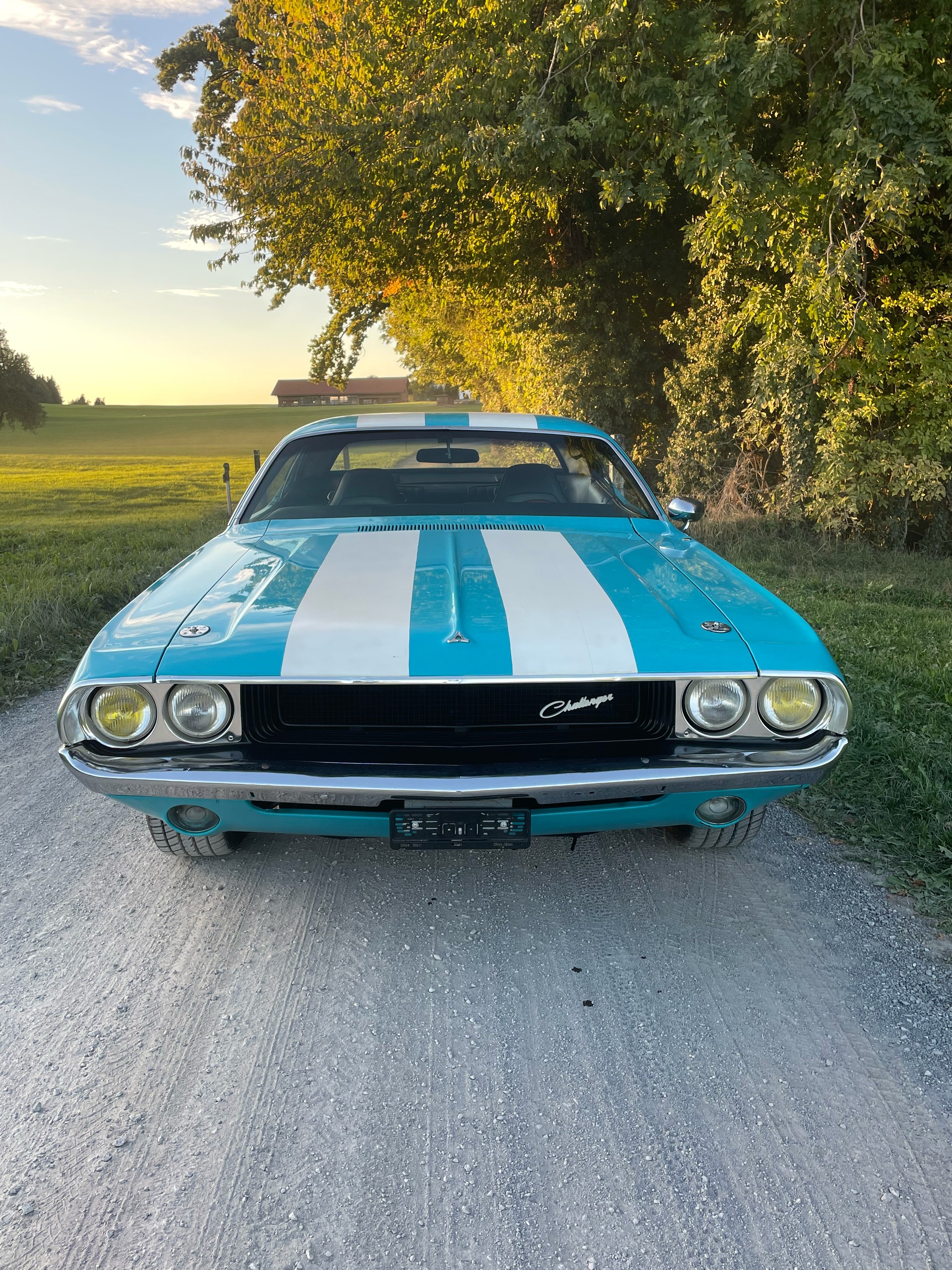 DODGE Challenger-image-2