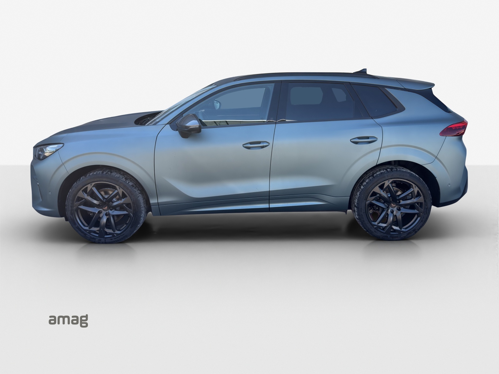 CUPRA Terramar 2.0 TSI DSG 4Drive Americas CUP-image-4