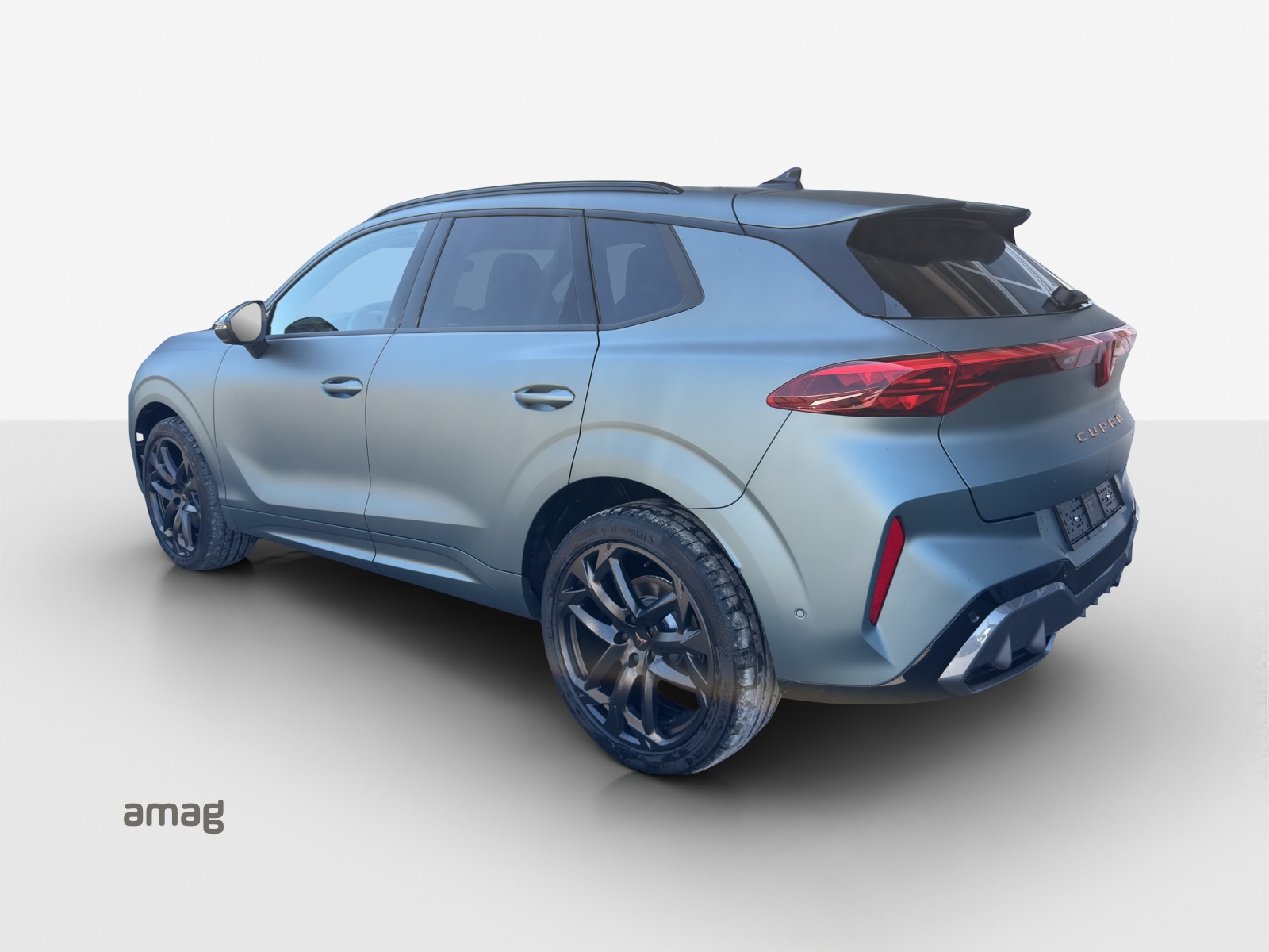 CUPRA Terramar 2.0 TSI DSG 4Drive Americas CUP-image-5