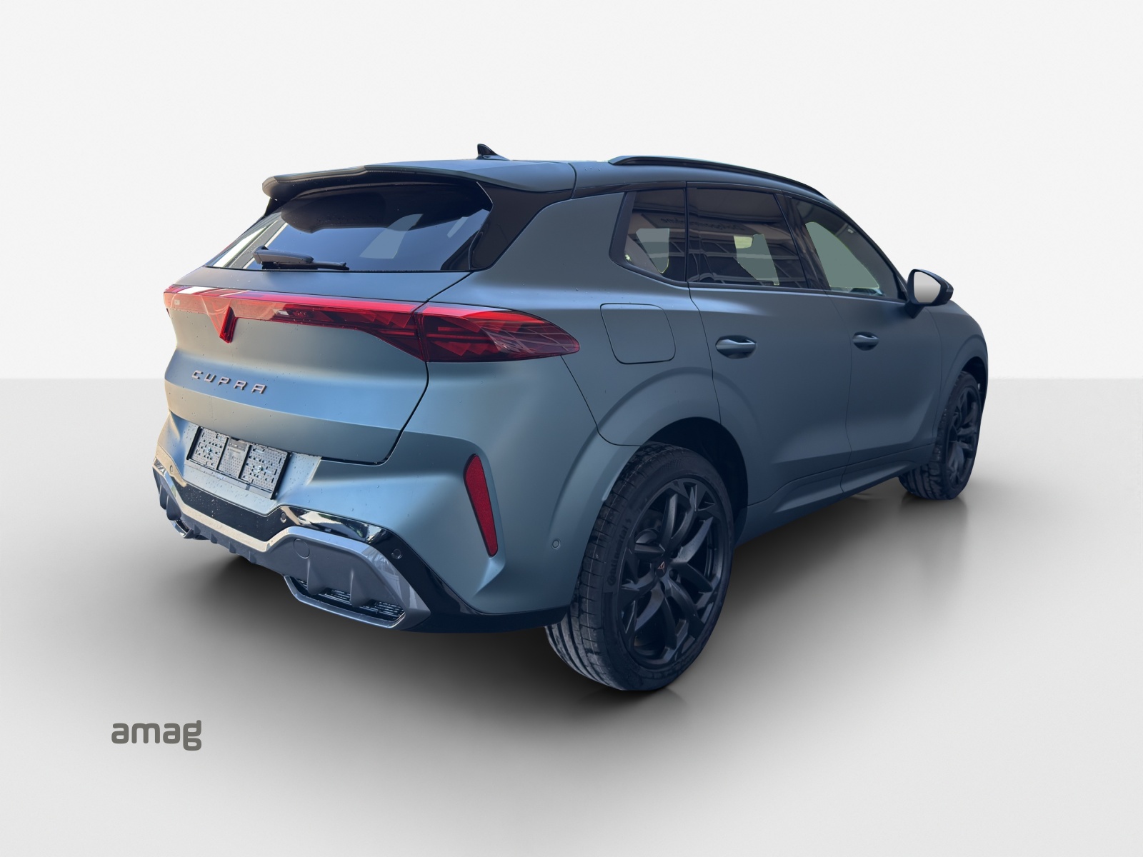 CUPRA Terramar 2.0 TSI DSG 4Drive Americas CUP-image-7