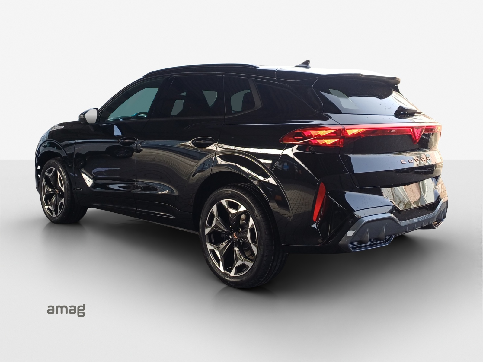 CUPRA CUPRA TERRAMAR VZ 265 PS 4DRIVE DSG-image-2