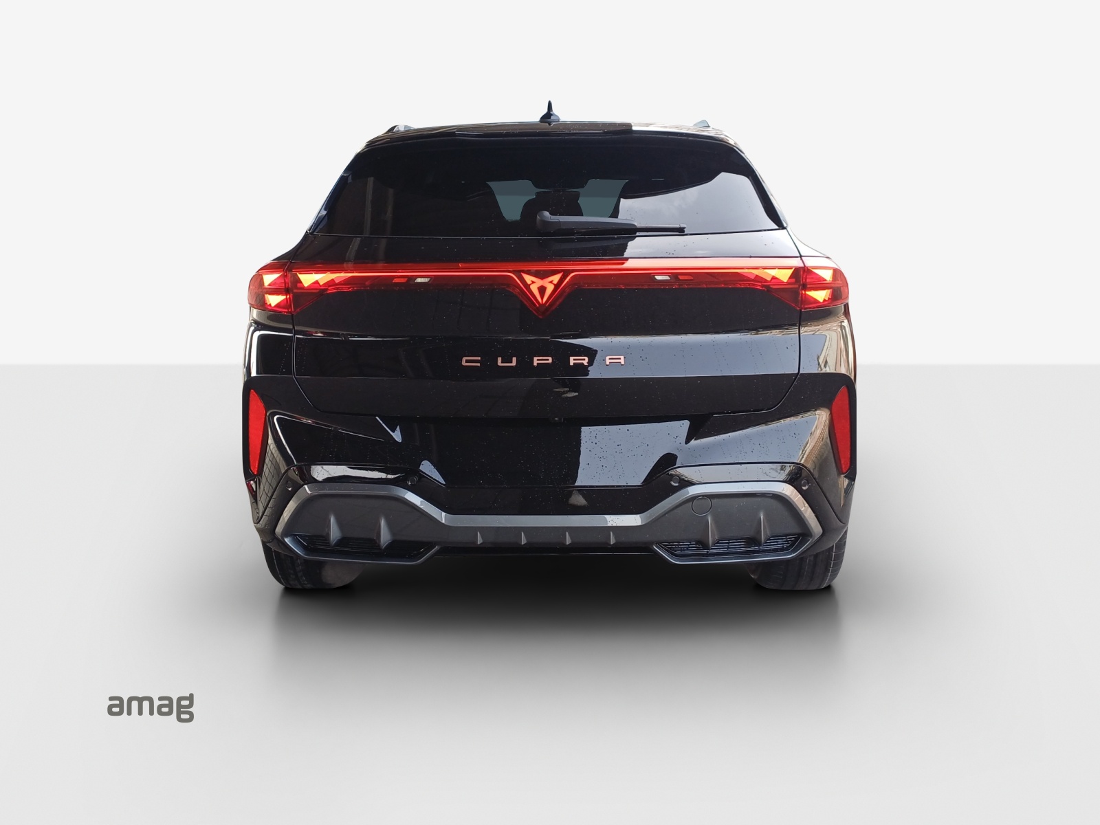 CUPRA CUPRA TERRAMAR VZ 265 PS 4DRIVE DSG-image-3